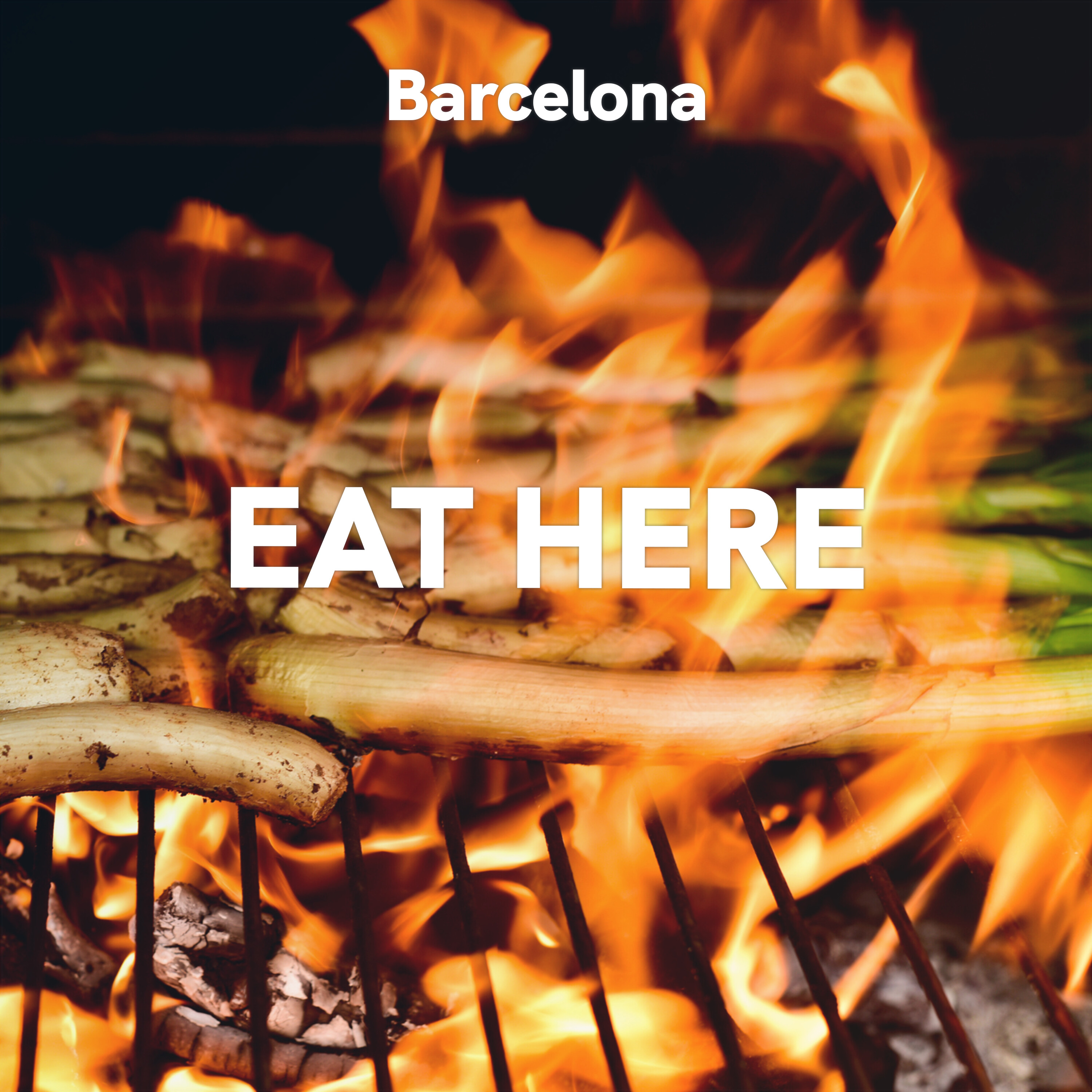 The Cerca Guide to Barcelona