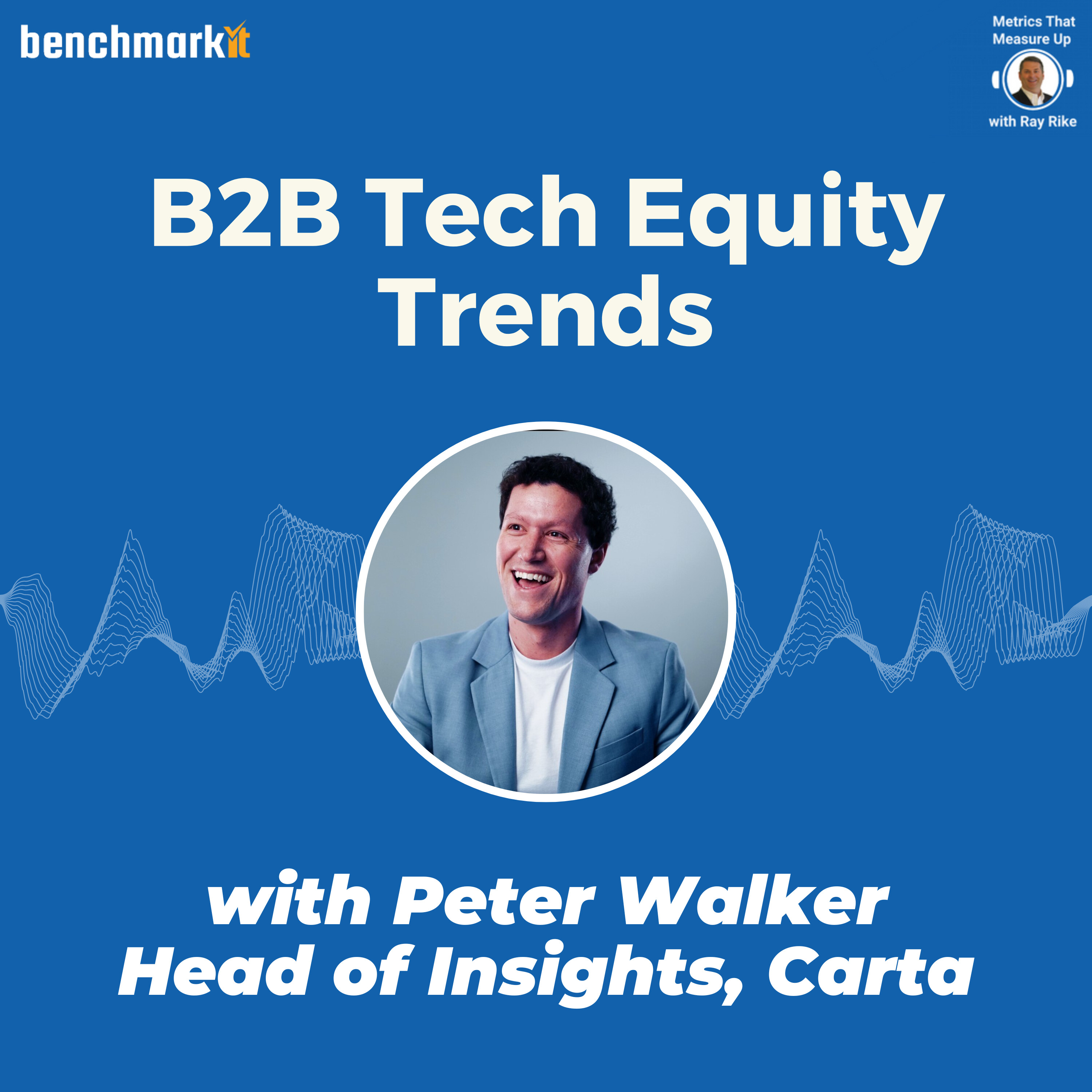 B2B Technology Equity Trends - with Peter Walker, Head of Insights Carta