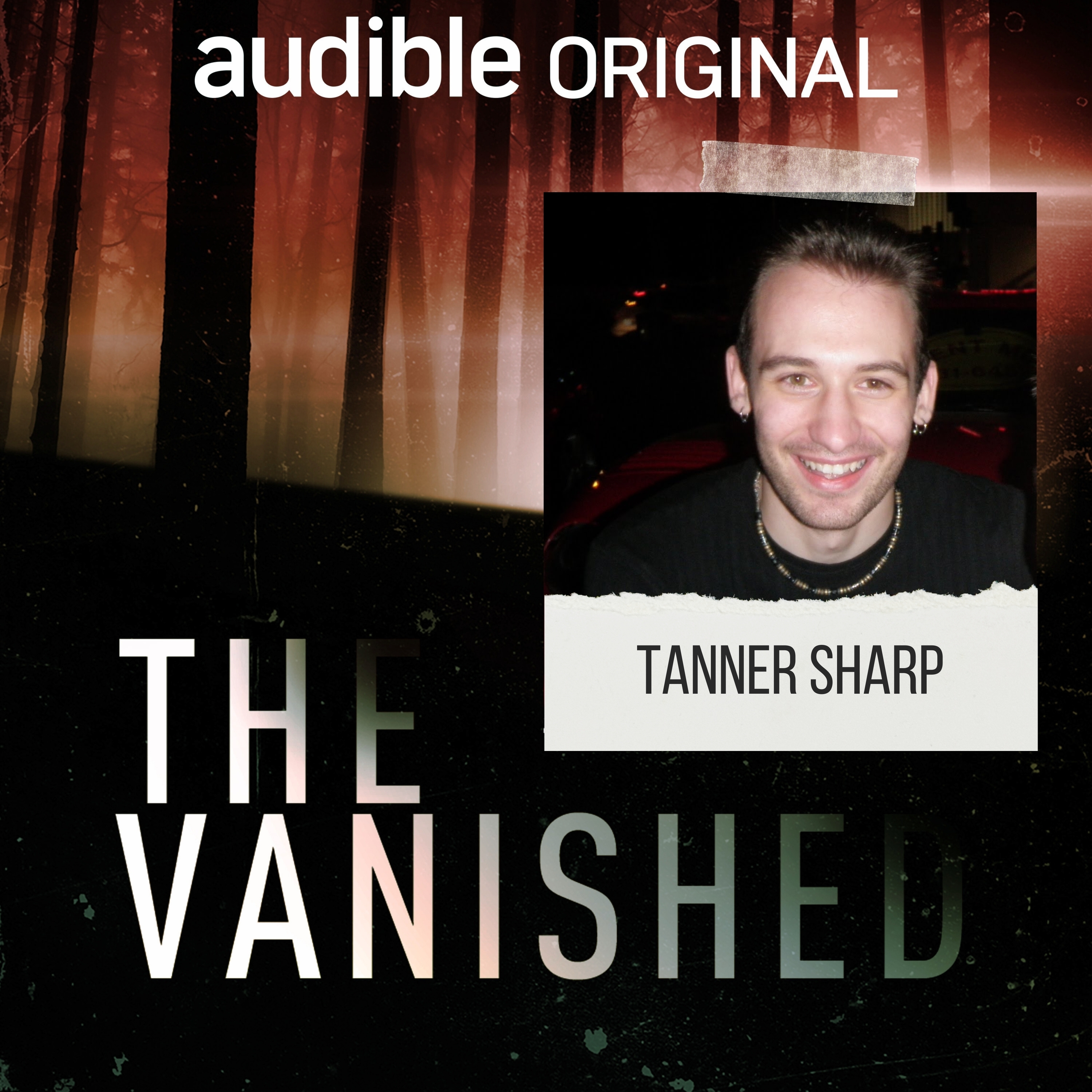 Artwork for The Vanished Podcast