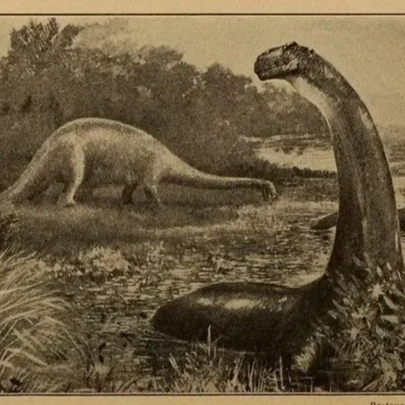 In Defense of Plants Podcast