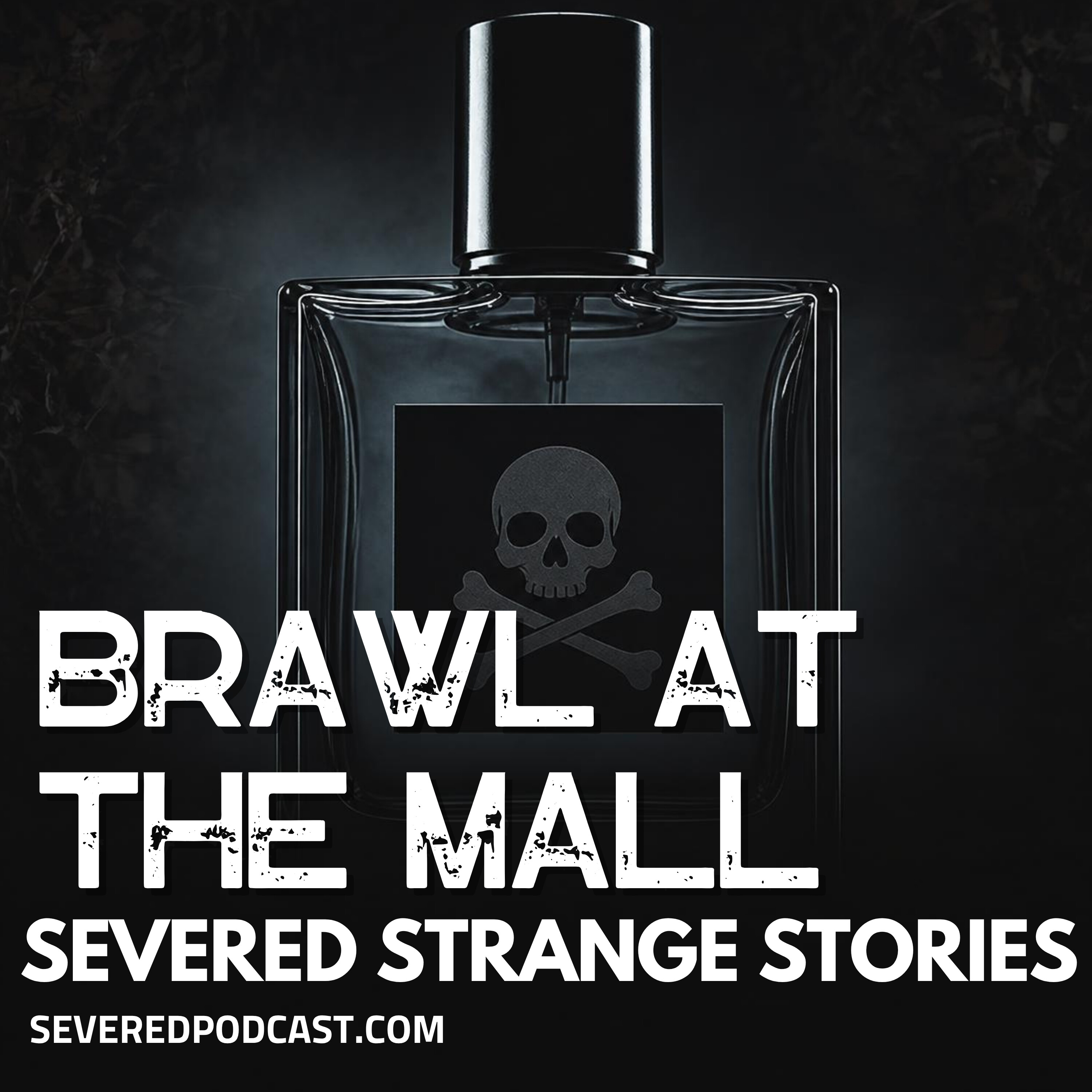 Strange Stories: Brawl at the Mall episode artwork