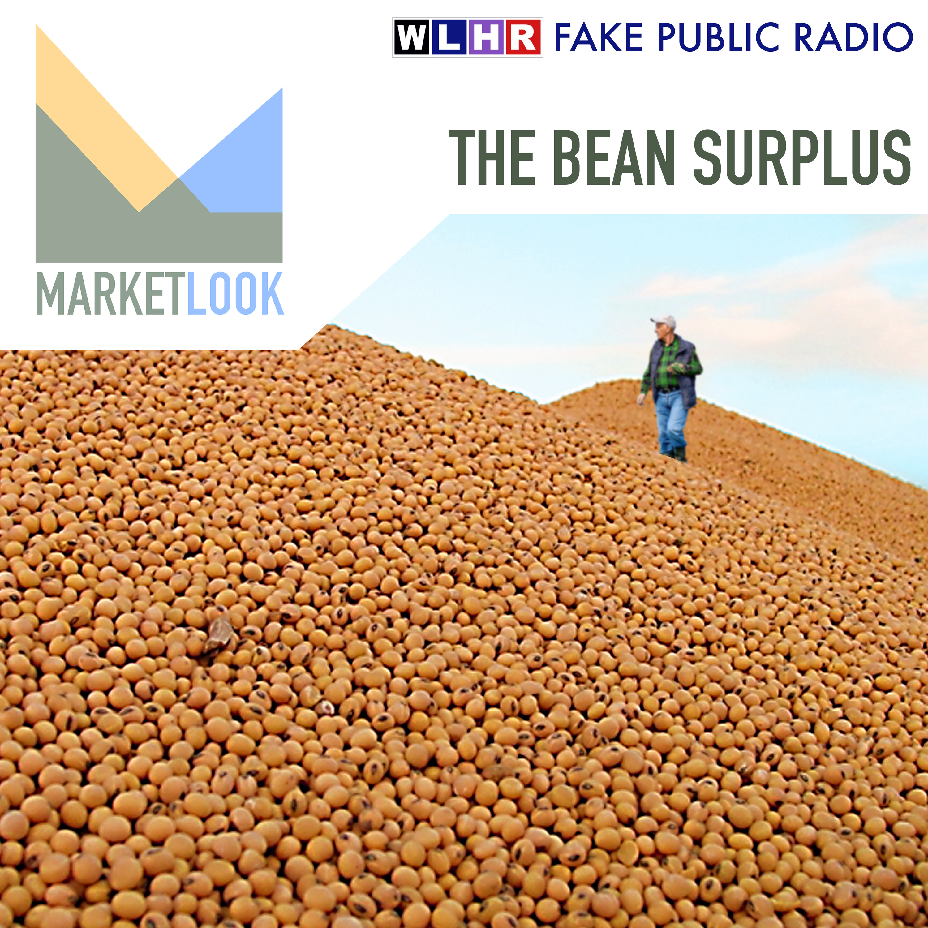 WLHR: Fake Public Radio