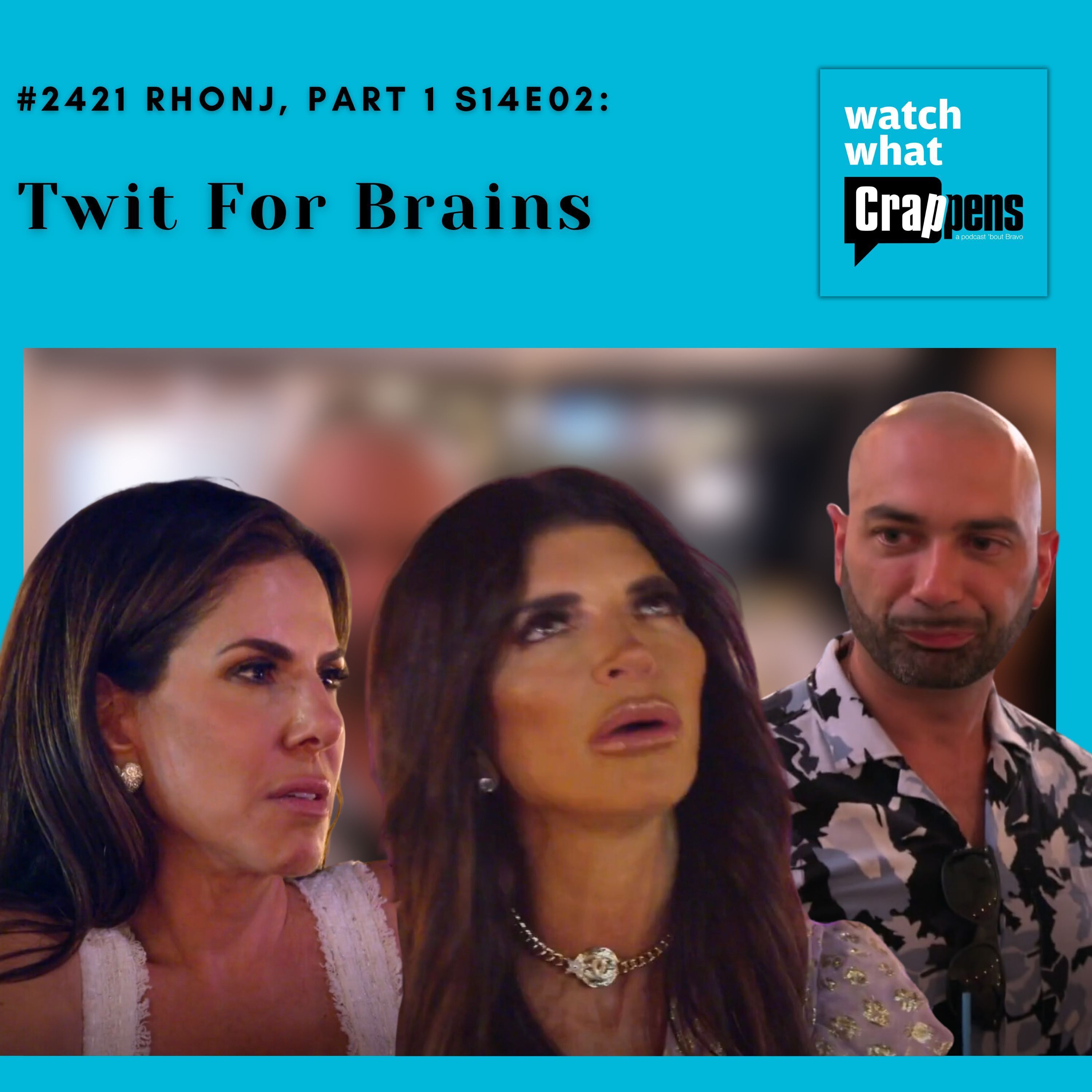 #2421 RHONJ, Part 1 S14E02: Twit For Brains