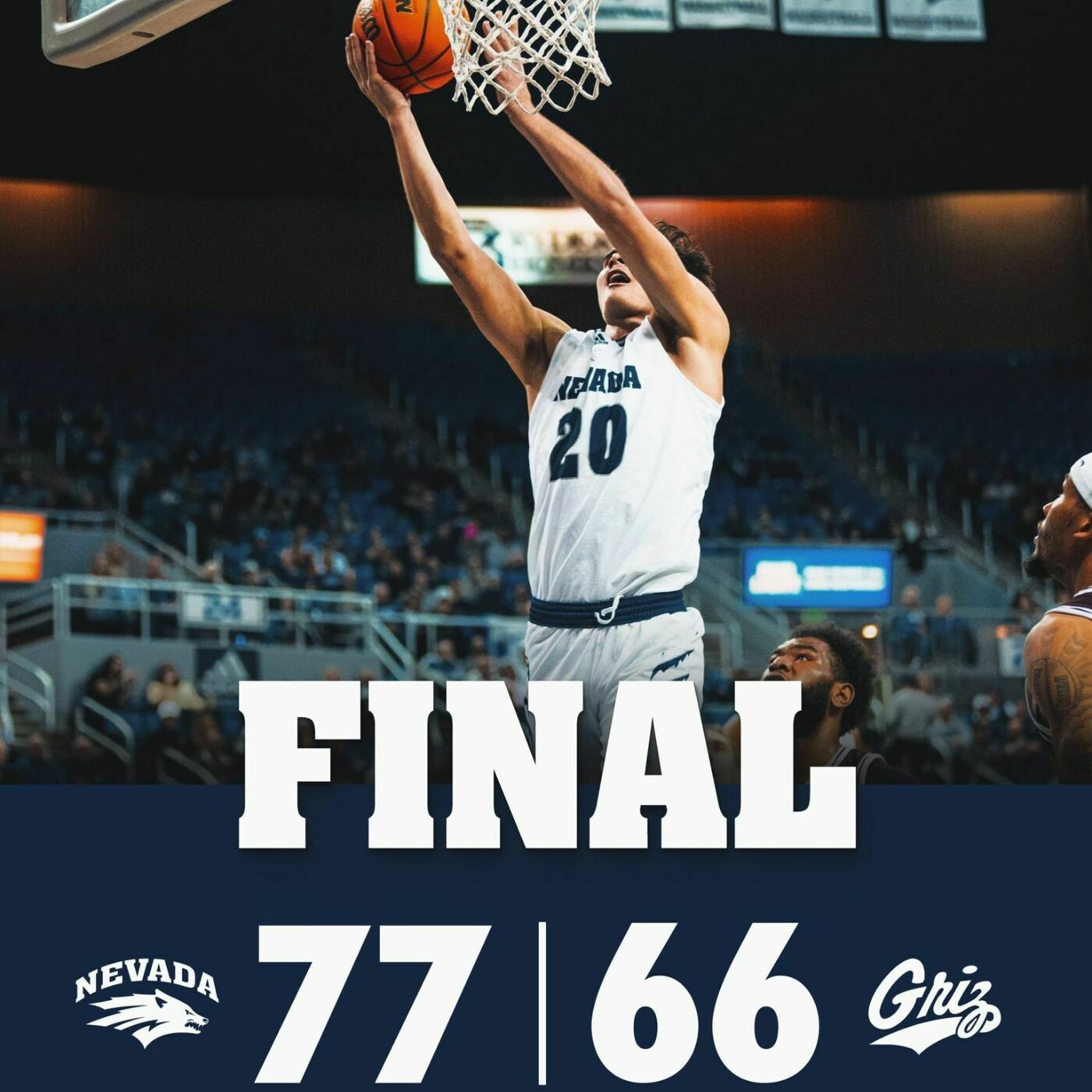 11.30.23 Wolf Pack Daily