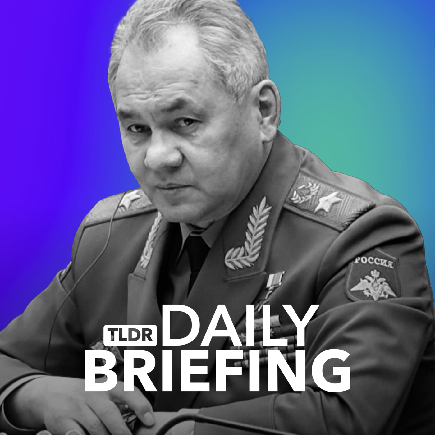 Putin Sacks Shoigu: What Now?