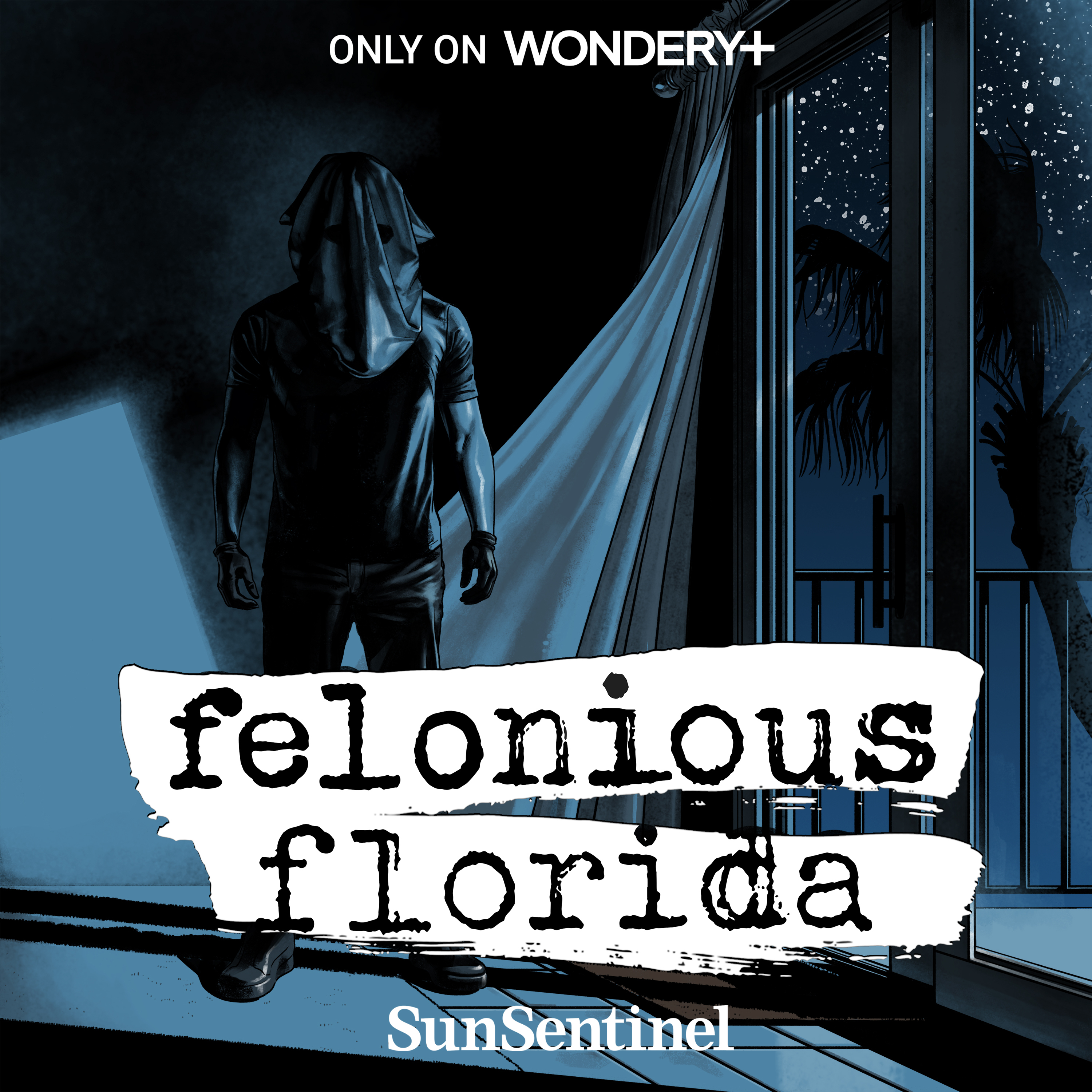 Introducing Felonious Florida: In the Darkness by Wondery | Sun Sentinel