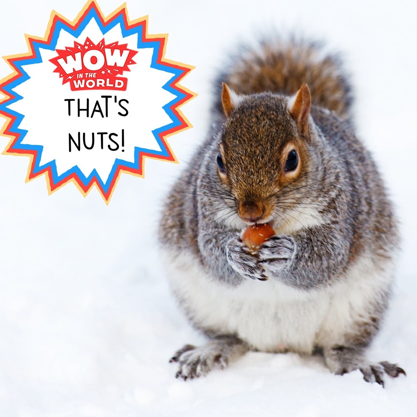 That's NUTS!