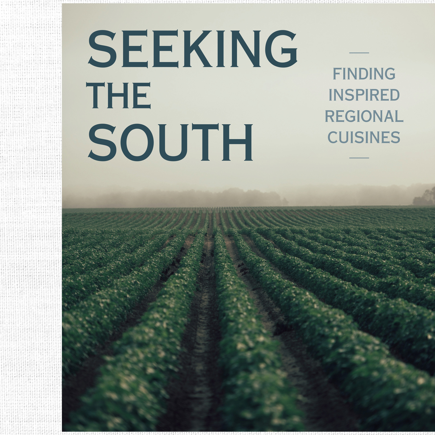 Episode 336: Seeking the South