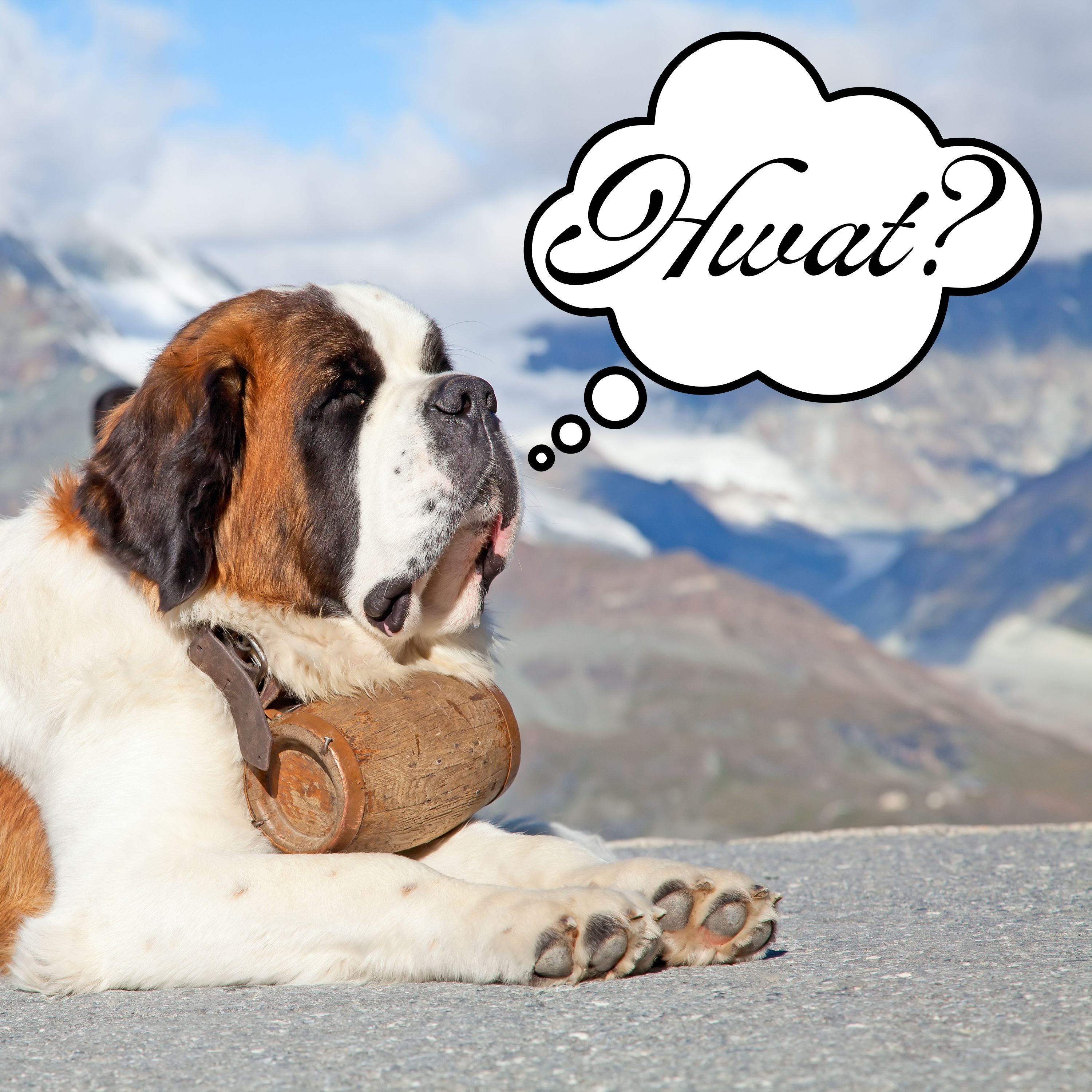 61: Norwegian Cheaters