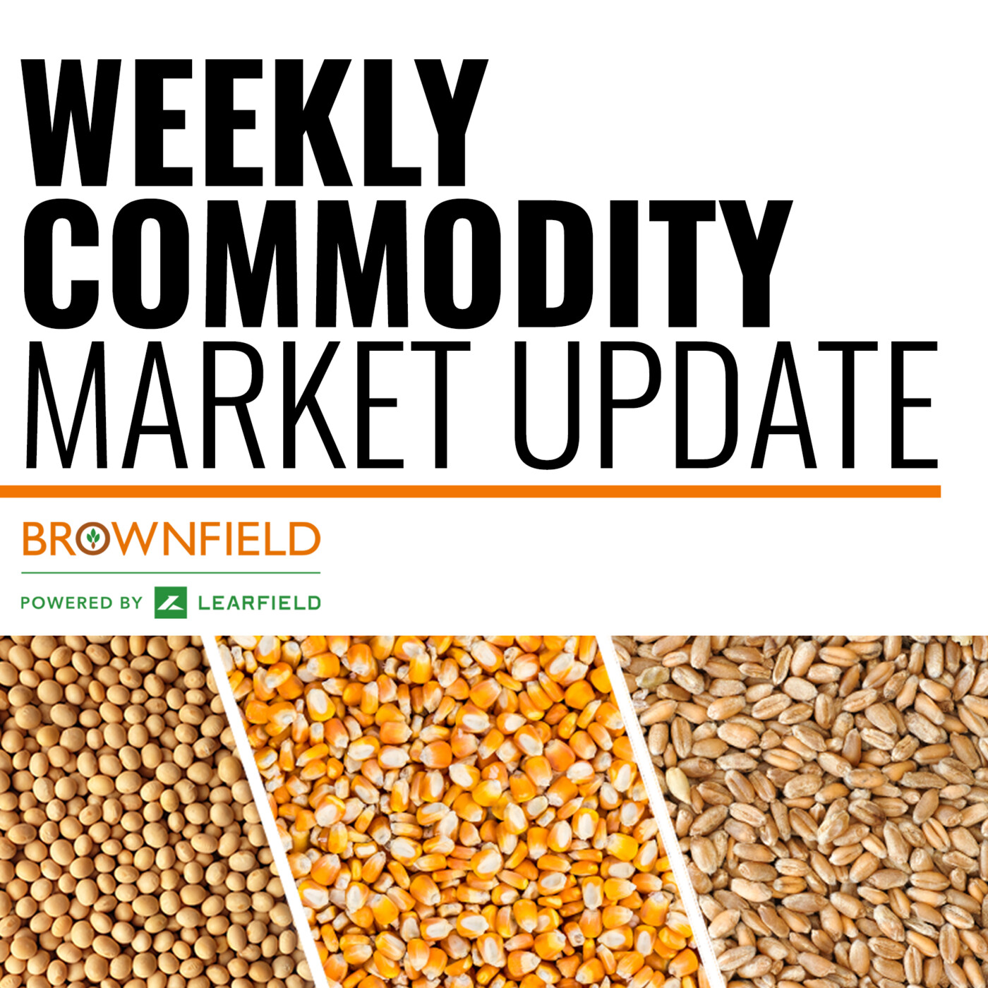 Weekly Commodity Market Update: Recap of USDA's February global estimates cover art