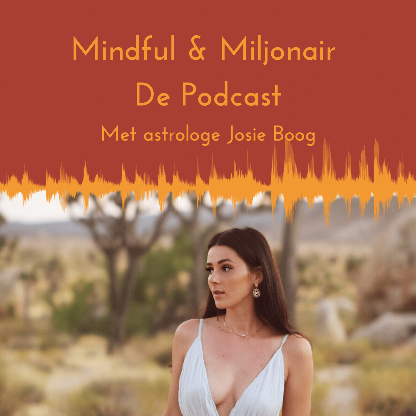 Mindful & Miljonair
