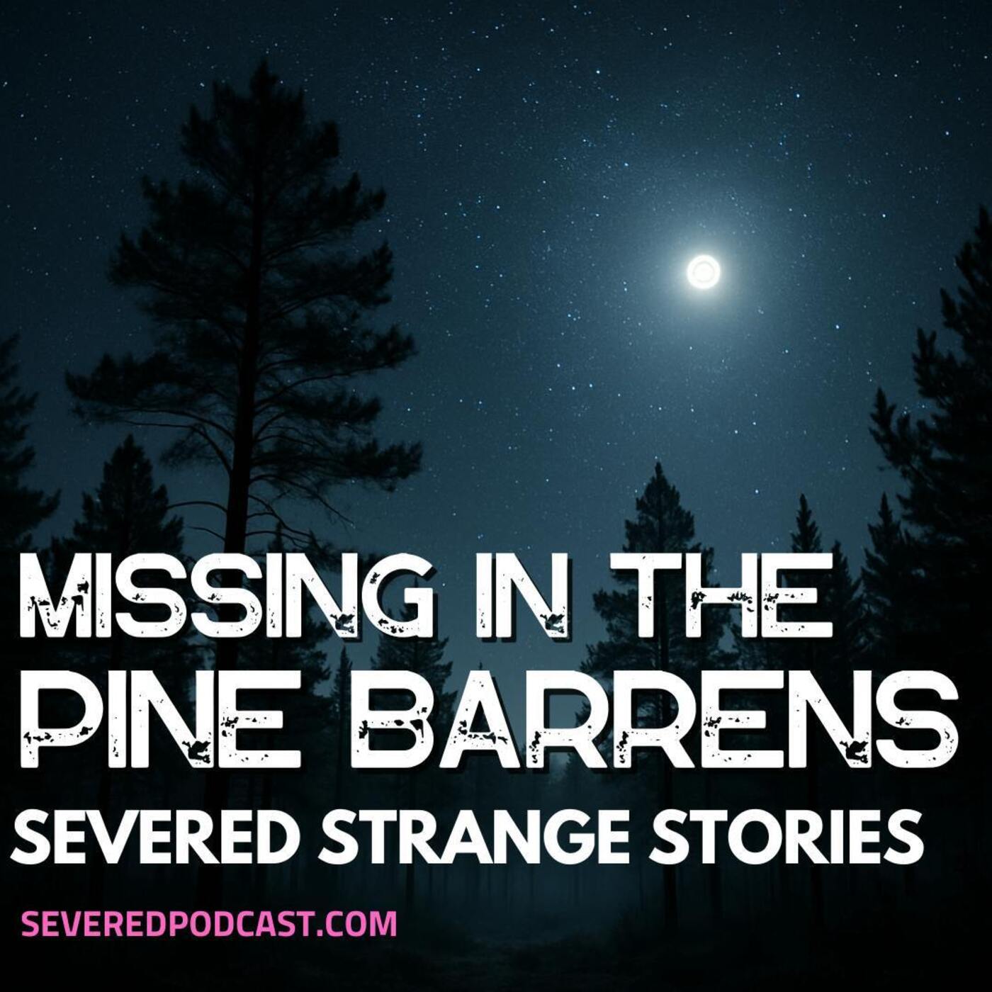 Strange Stories: Missing in the Pine Barrens episode artwork
