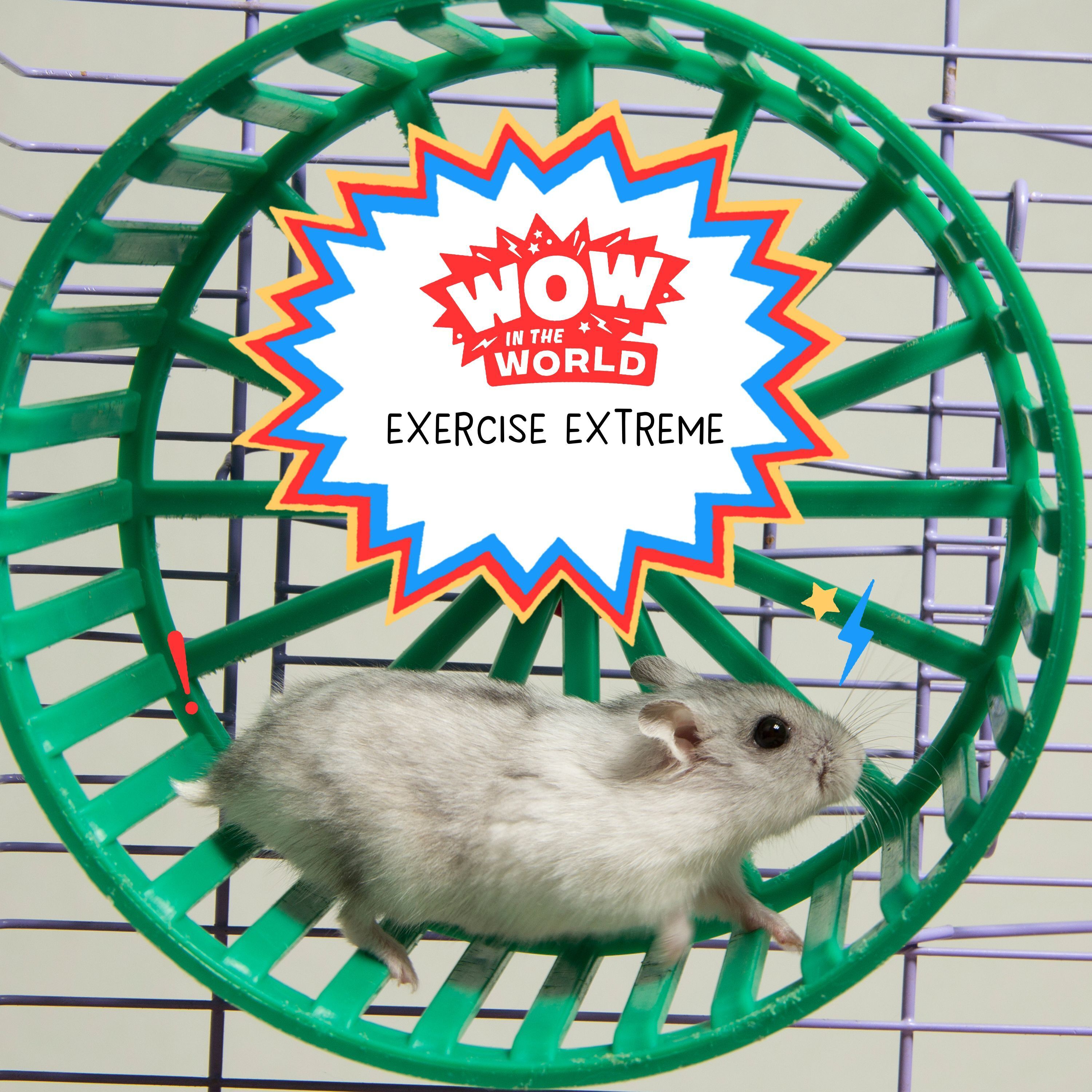 Exercise Extreme Exercise Extreme