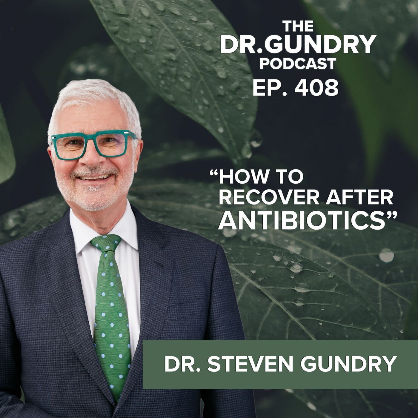 Antibiotics, Leaky Gut, and the Microbiome Crisis Nobody's Talking About | EP 408 episode artwork