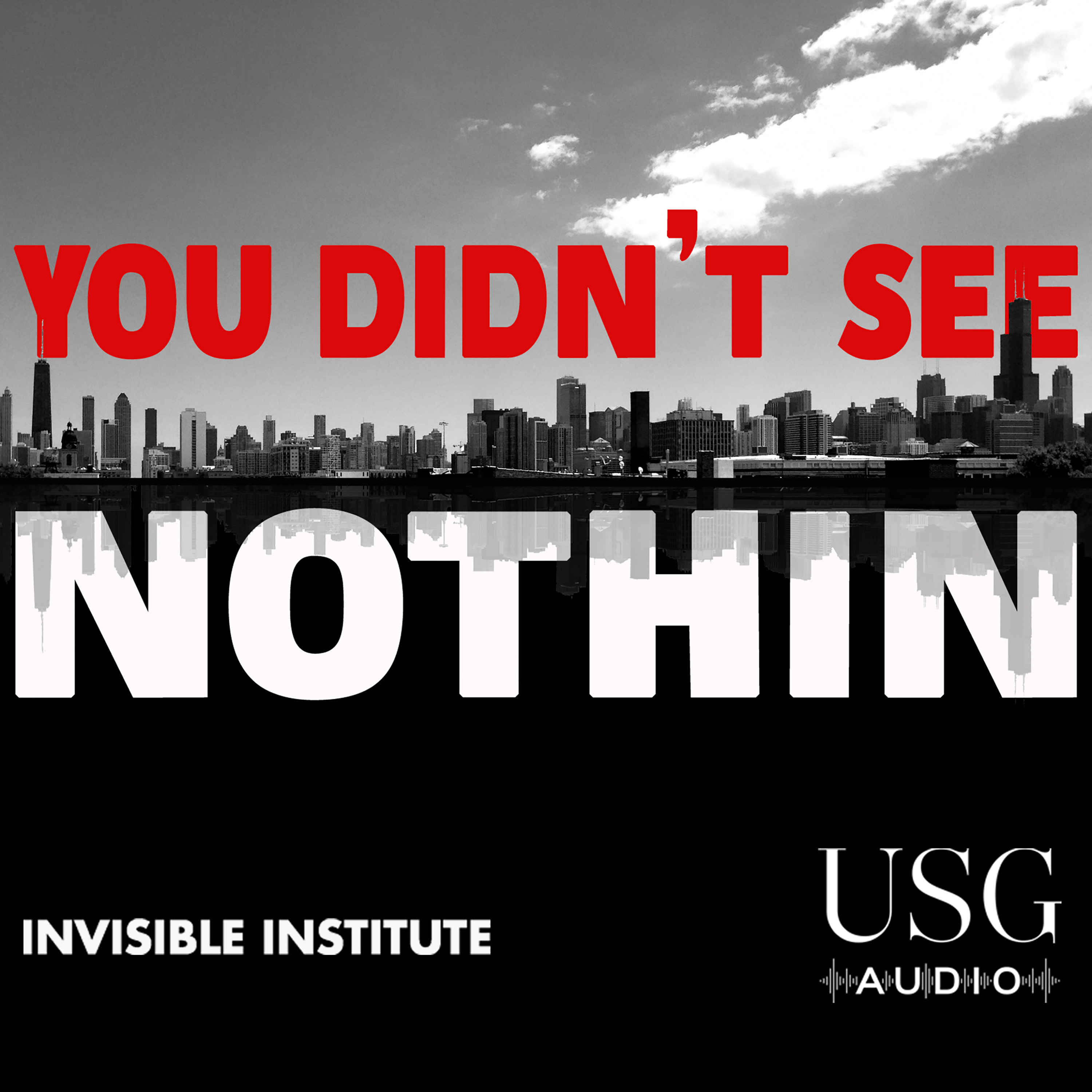 You Didn't See Nothin podcast show image
