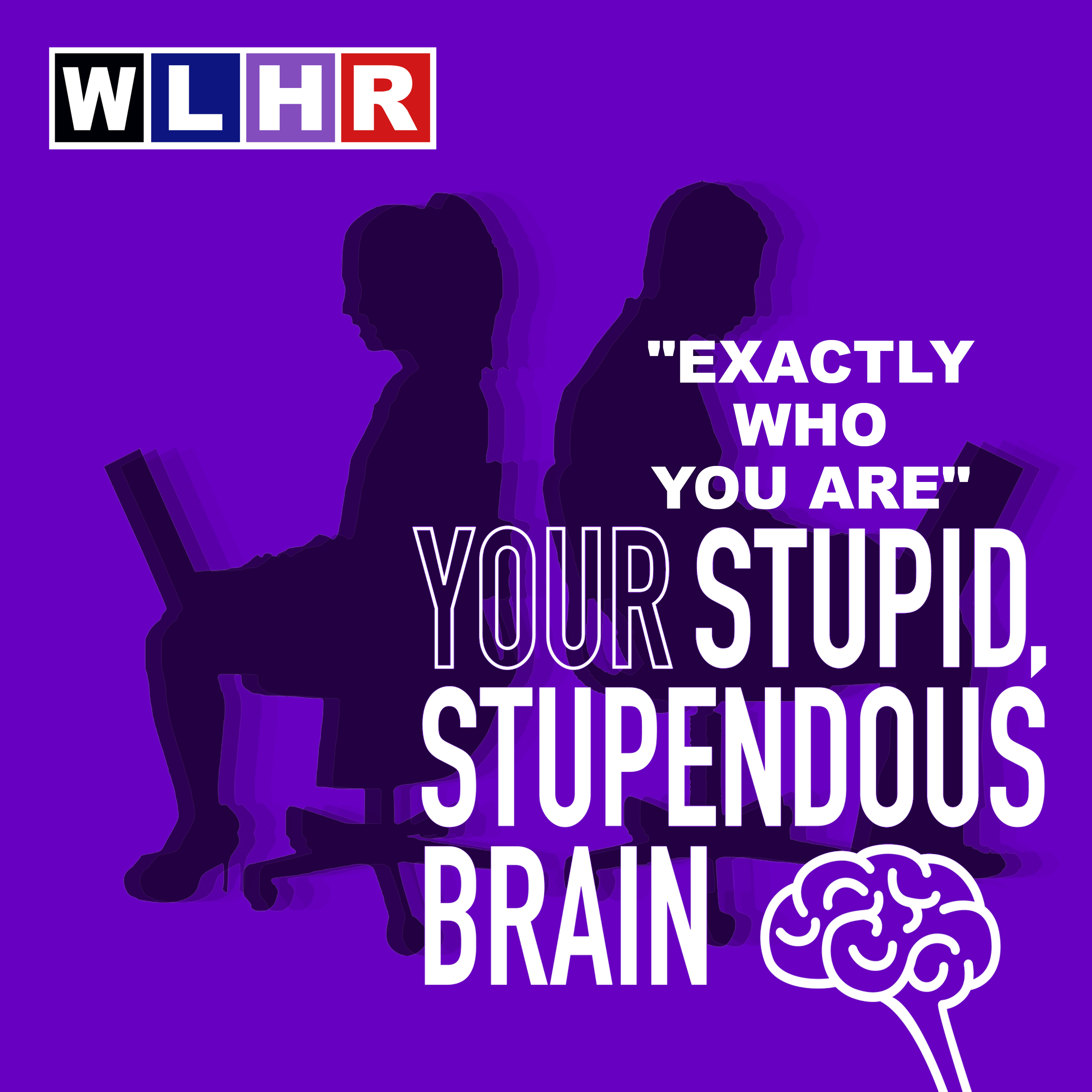 WLHR: Fake Public Radio