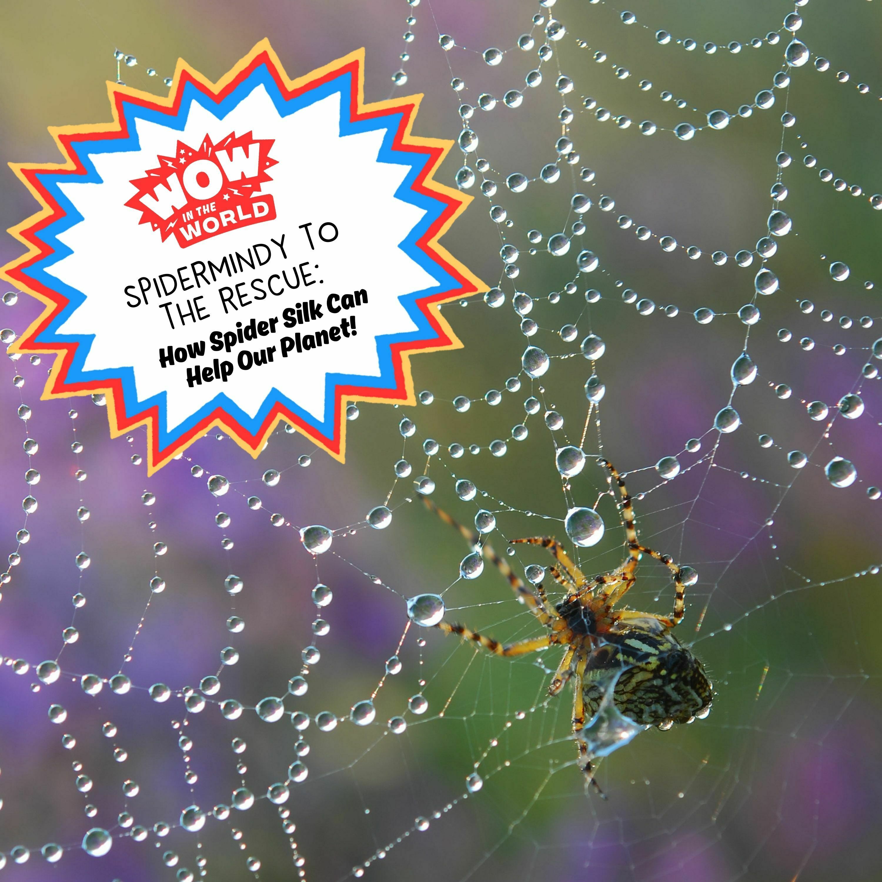 SpiderMindy to the Rescue: How Spider Silk Can Help the Planet! (7/24/23)