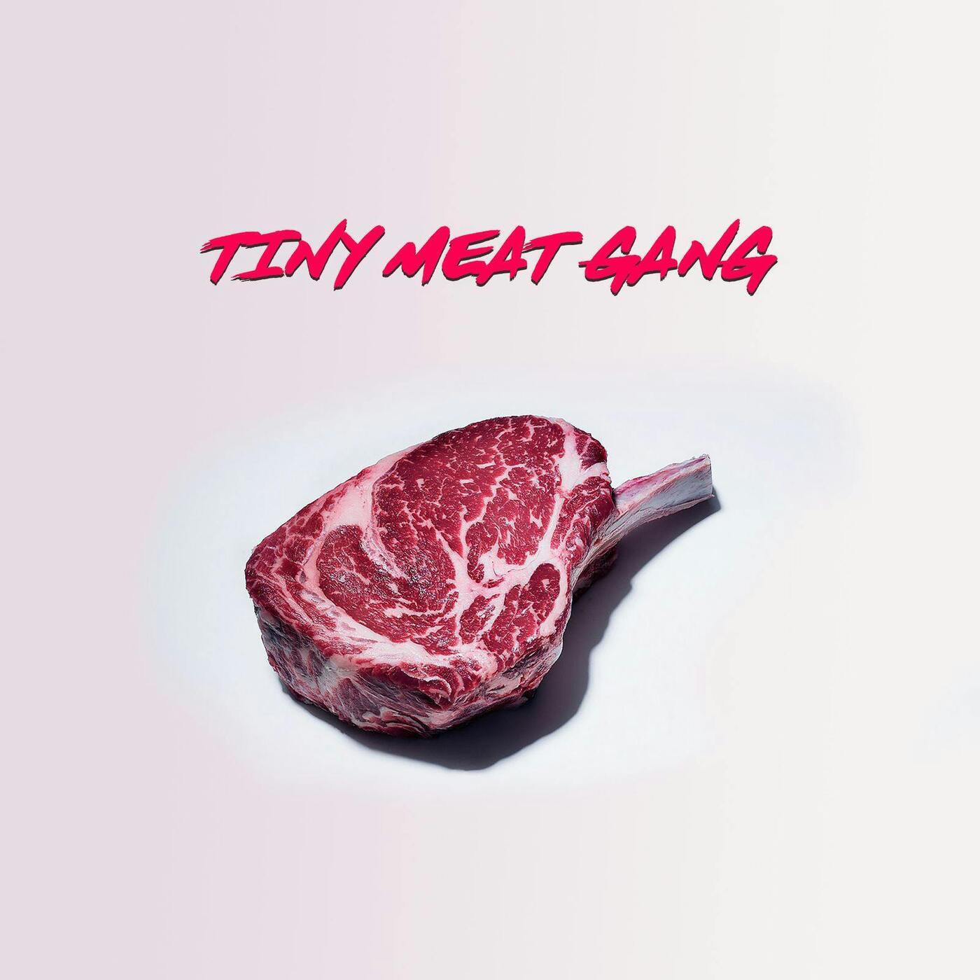 Hannah Stocking The Science Guy episode artwork