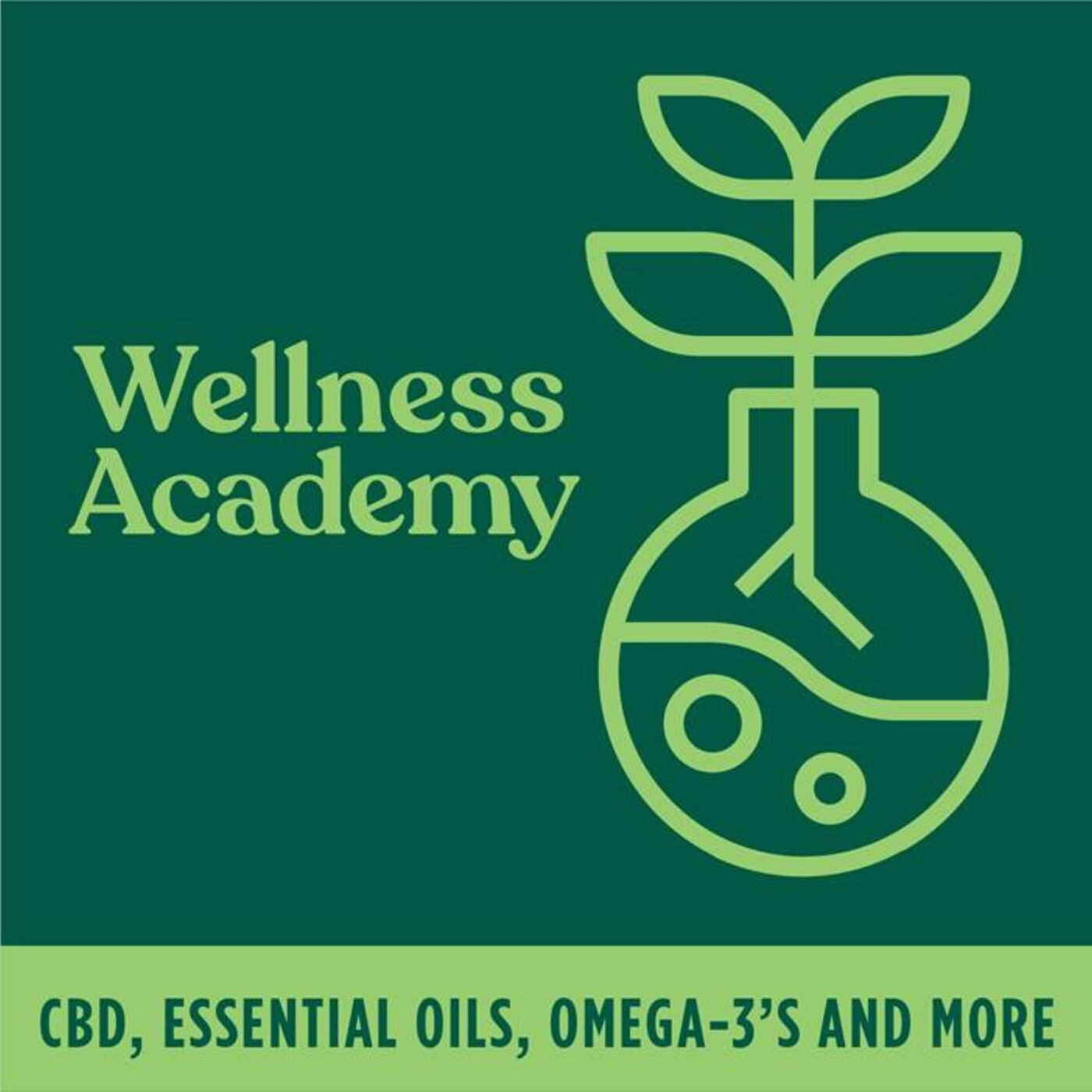 2 - UNDERSTANDING ESSENTIAL OILS AND AROMATHERAPY