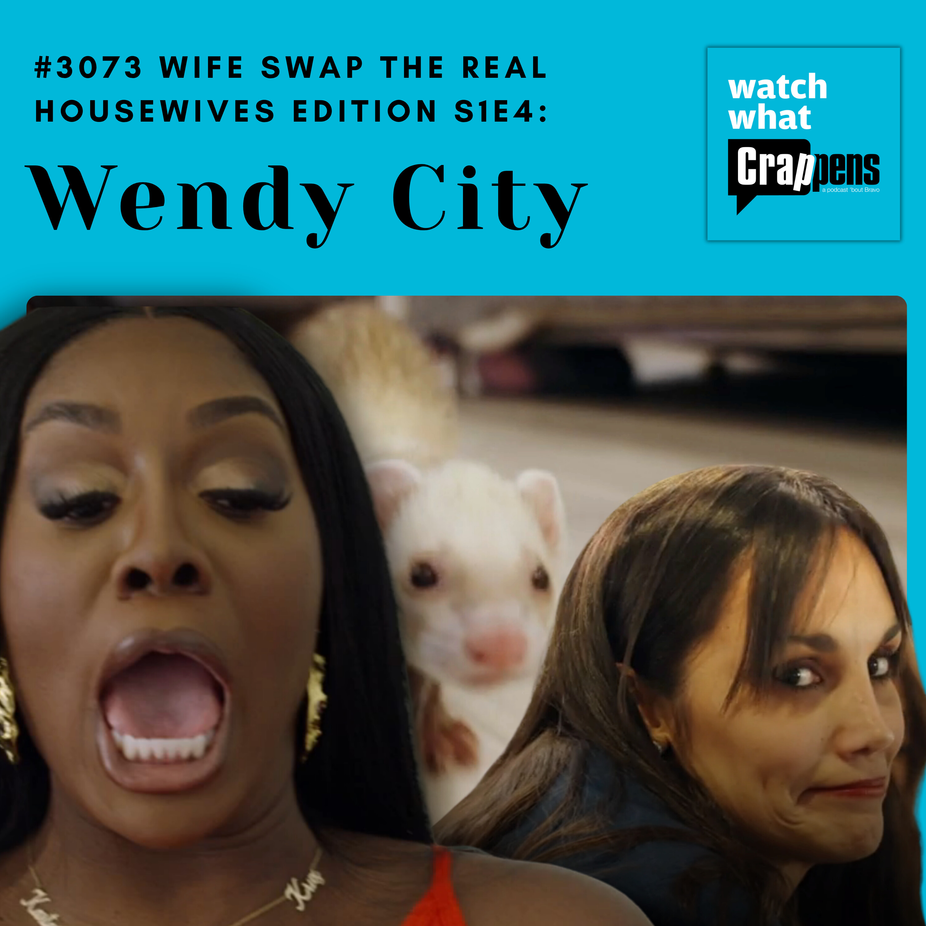#3073 Wife Swap The Real Housewives Edition S1E4: Wendy City