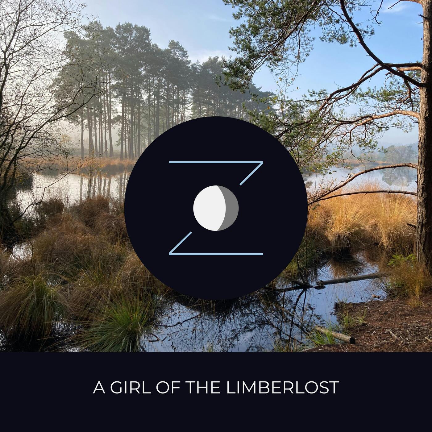 A Girl of the Limberlost episode artwork