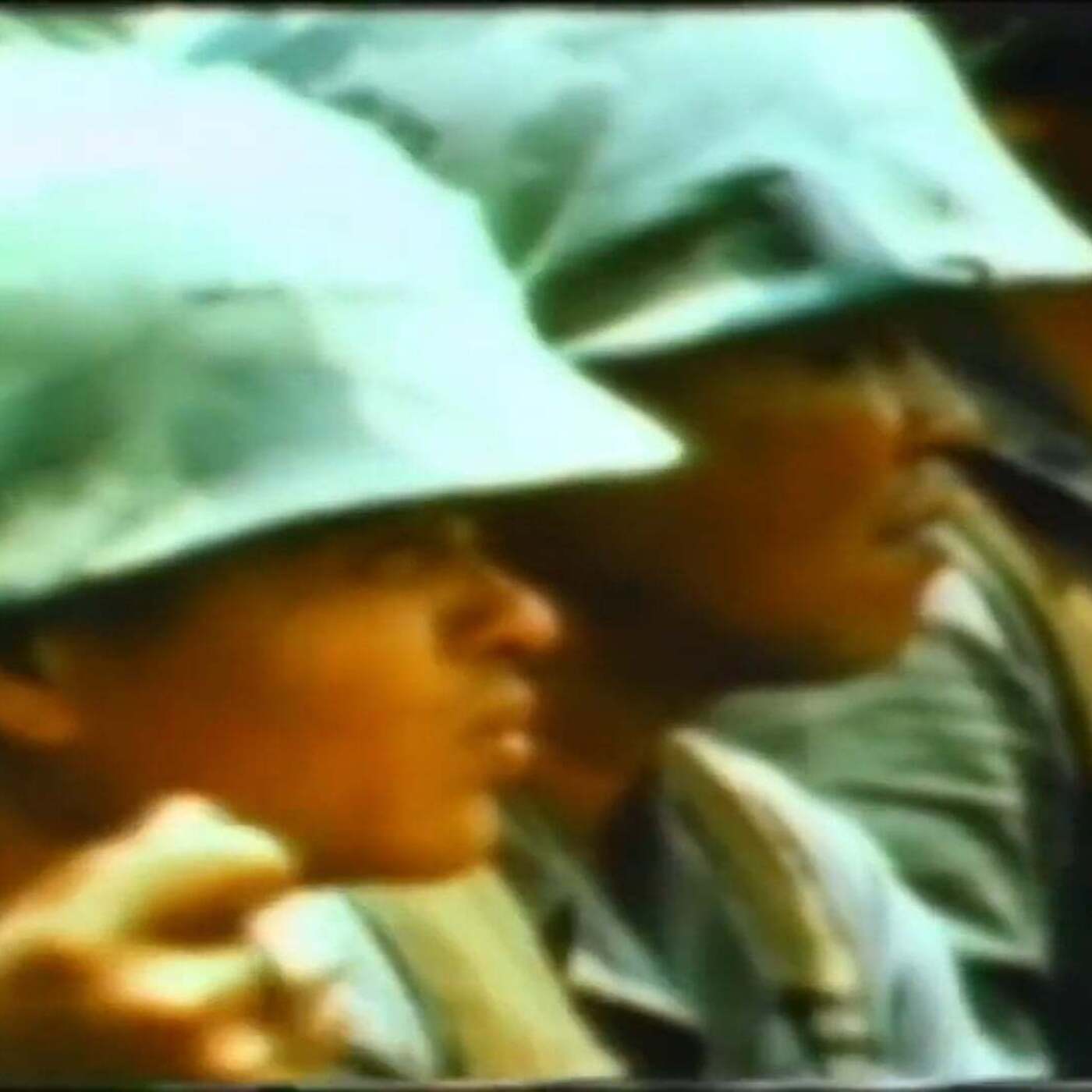 The 9th Infantry Division in Vietnam The 9th Infantry Division in Vietnam