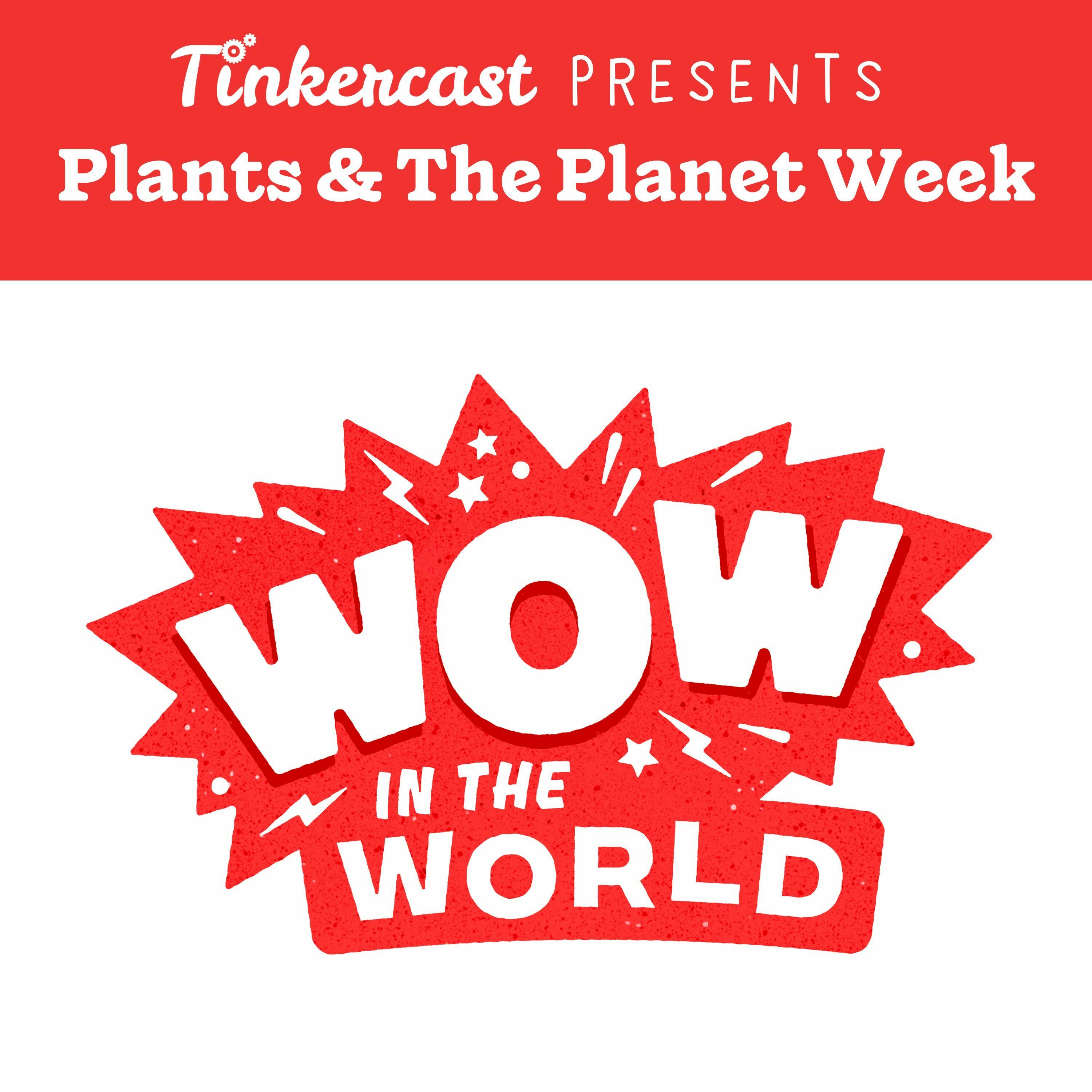 Wow in the World – Pepper Family Tree