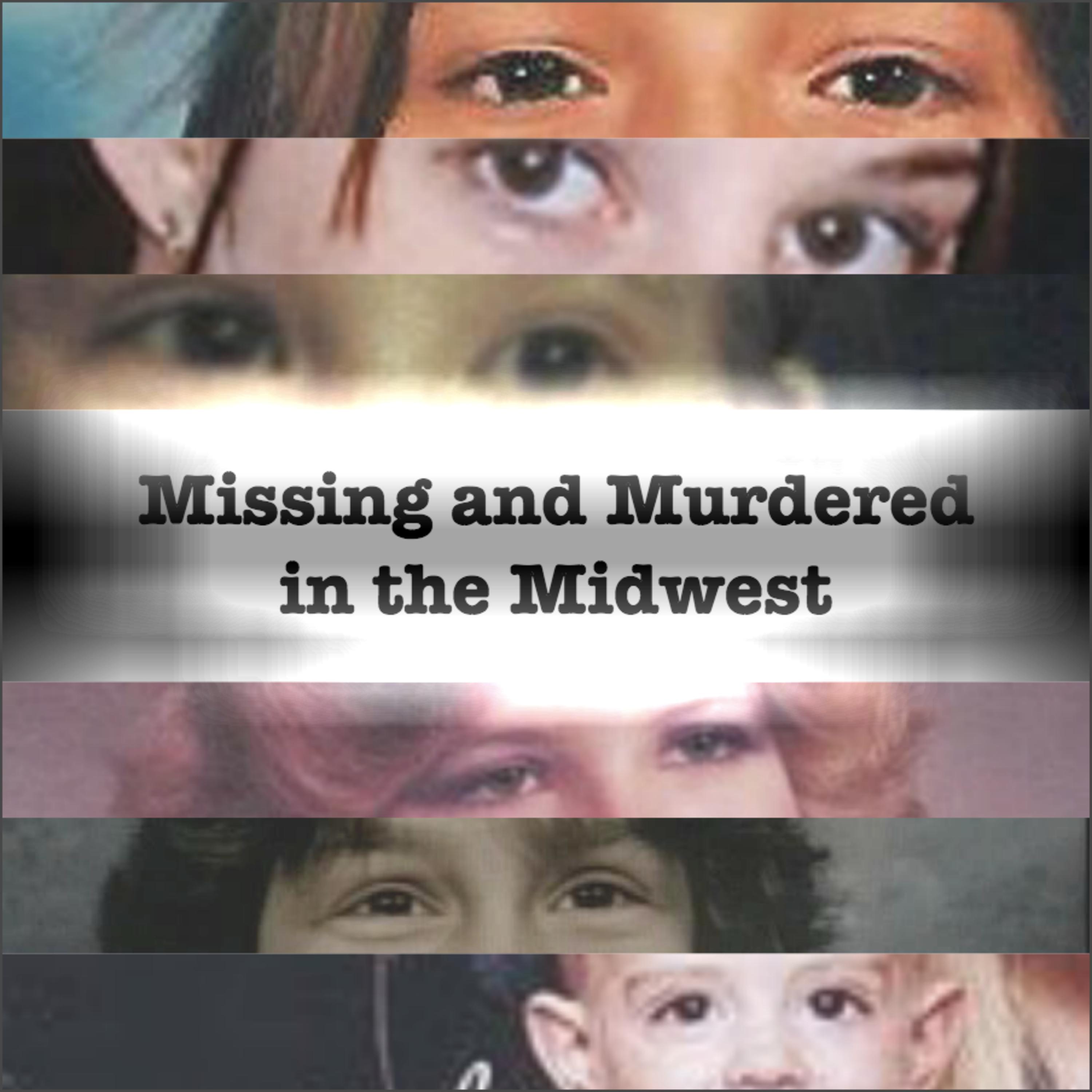 cover of episode the Disappearance of Breasia Terrell, currently missing