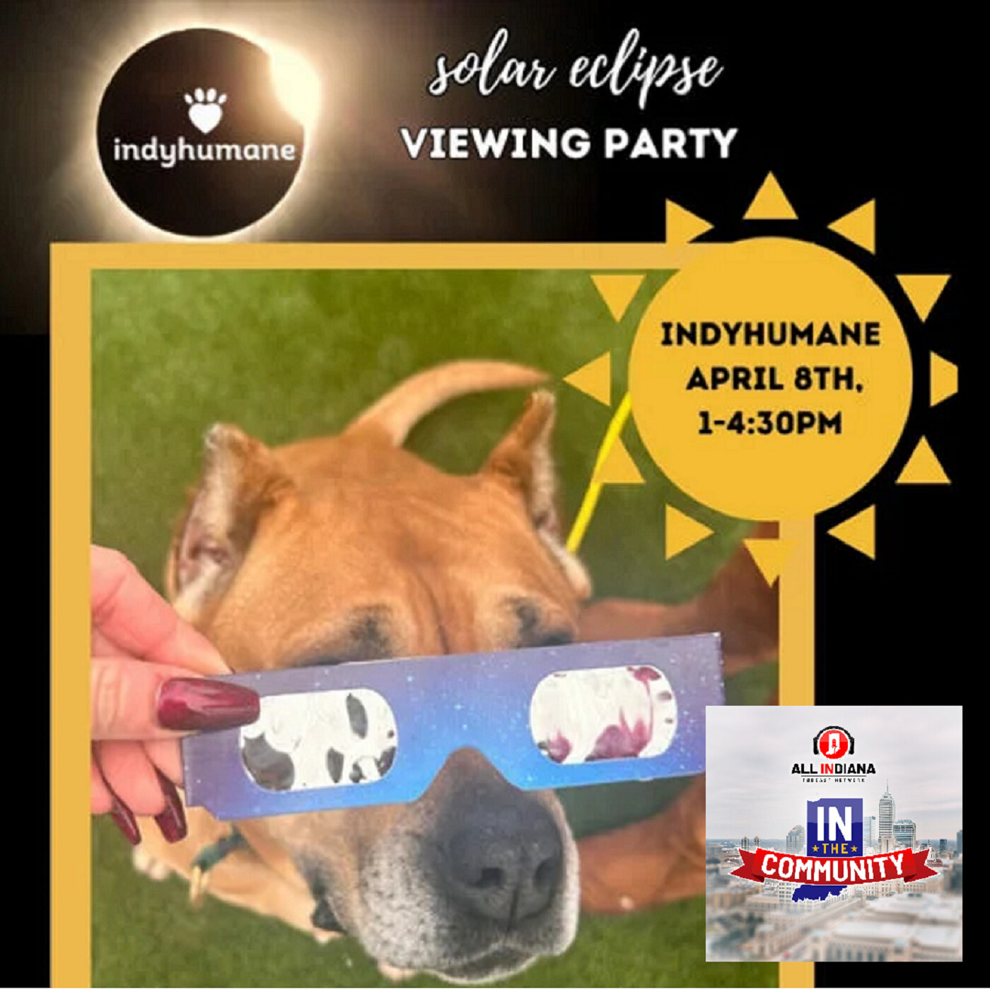 Bonus Eclipse Episode: IndyHumane hosting dog-friendly eclipse viewing party episode artwork