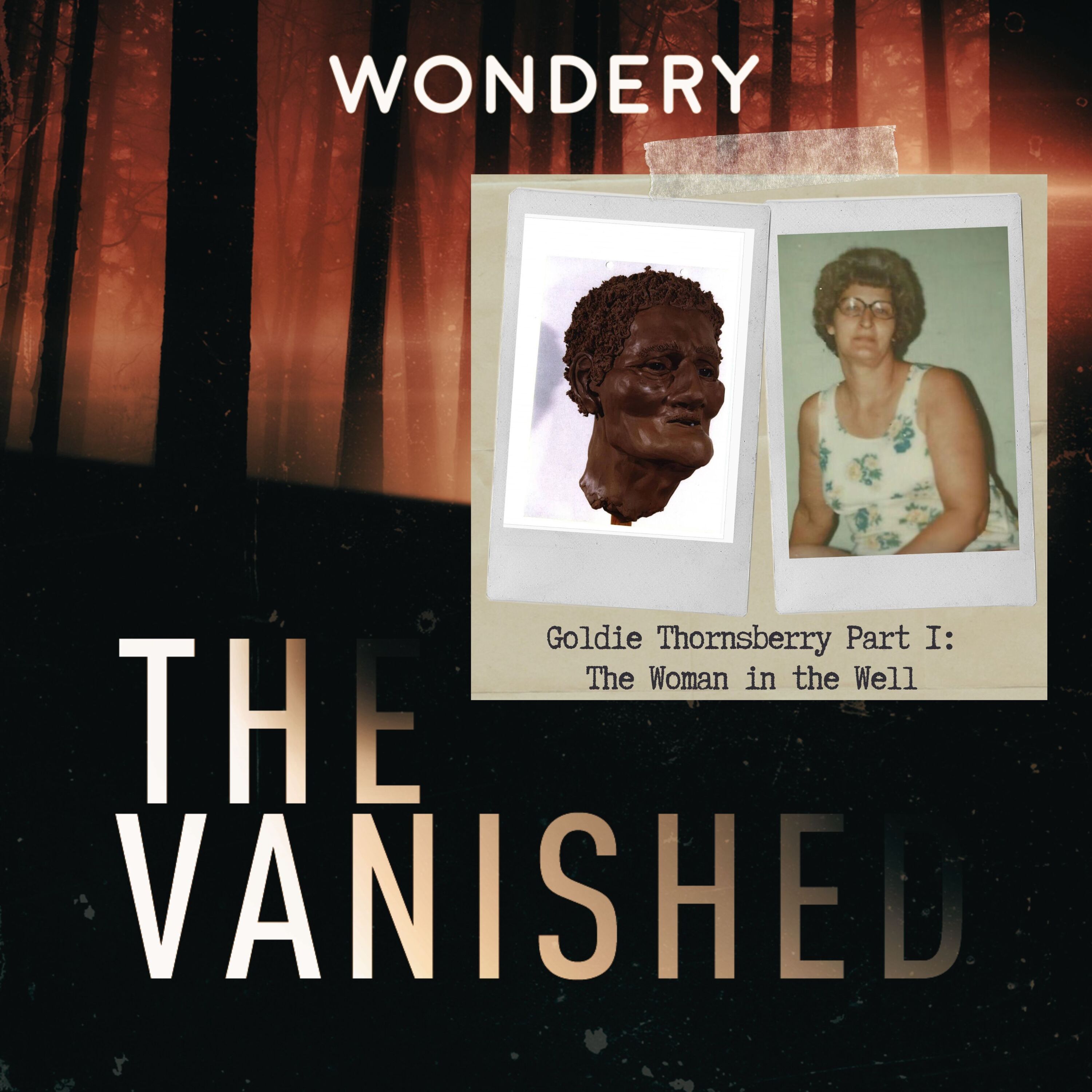 Goldie Thornsberry Part 1: The Woman in the Well by The Vanished ...