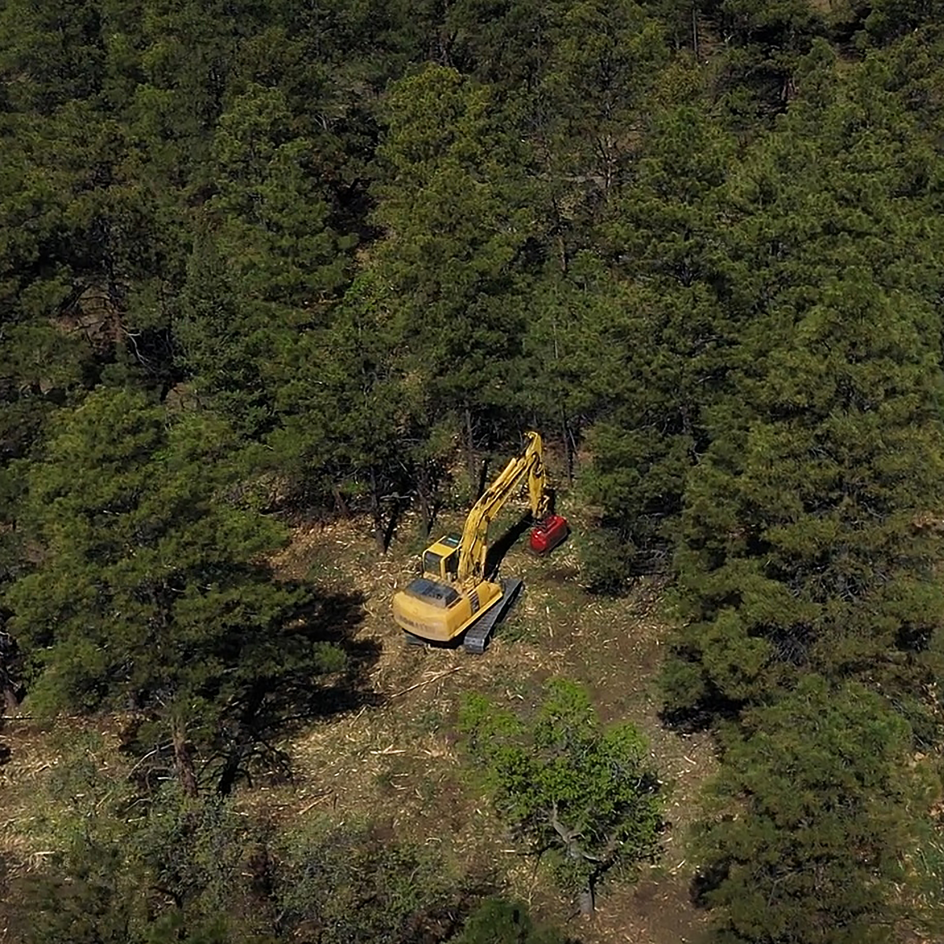 S1E19: 1.19 - Spanish Peaks Habitat Work and Forest Restoration - Aug. 30, 2021