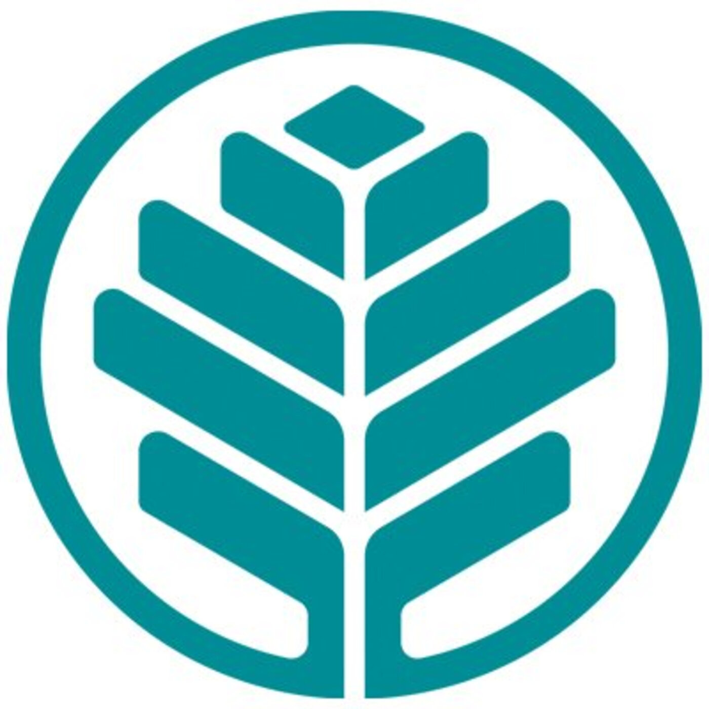 BestHealth Podcast - Integrative Medicine