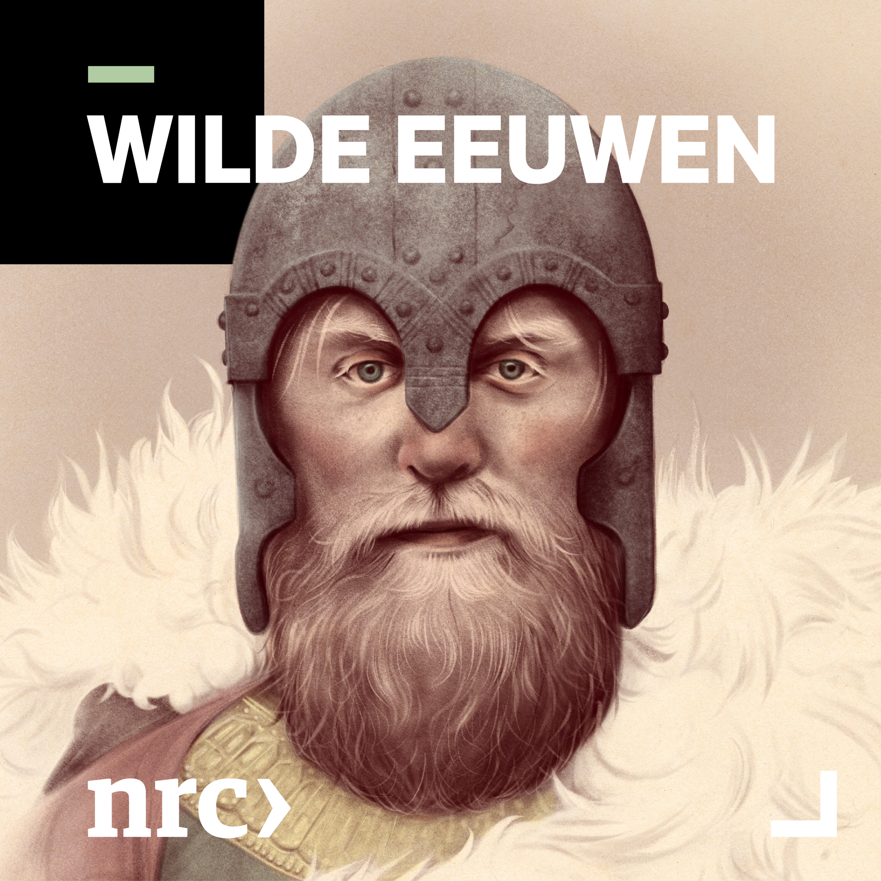 Wilde Eeuwen logo