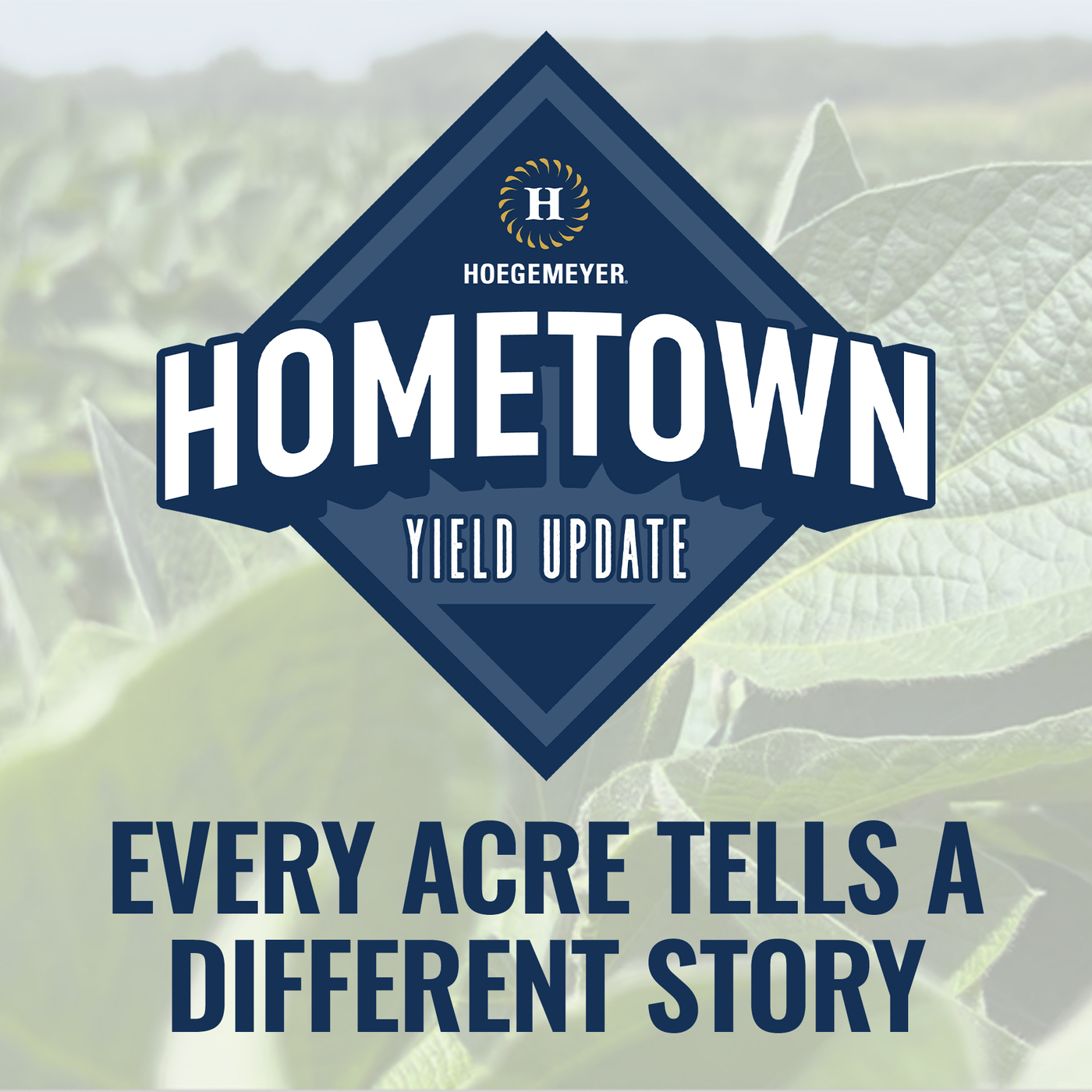 Hoegemeyer Hometown Field Update – Dunbar, NE