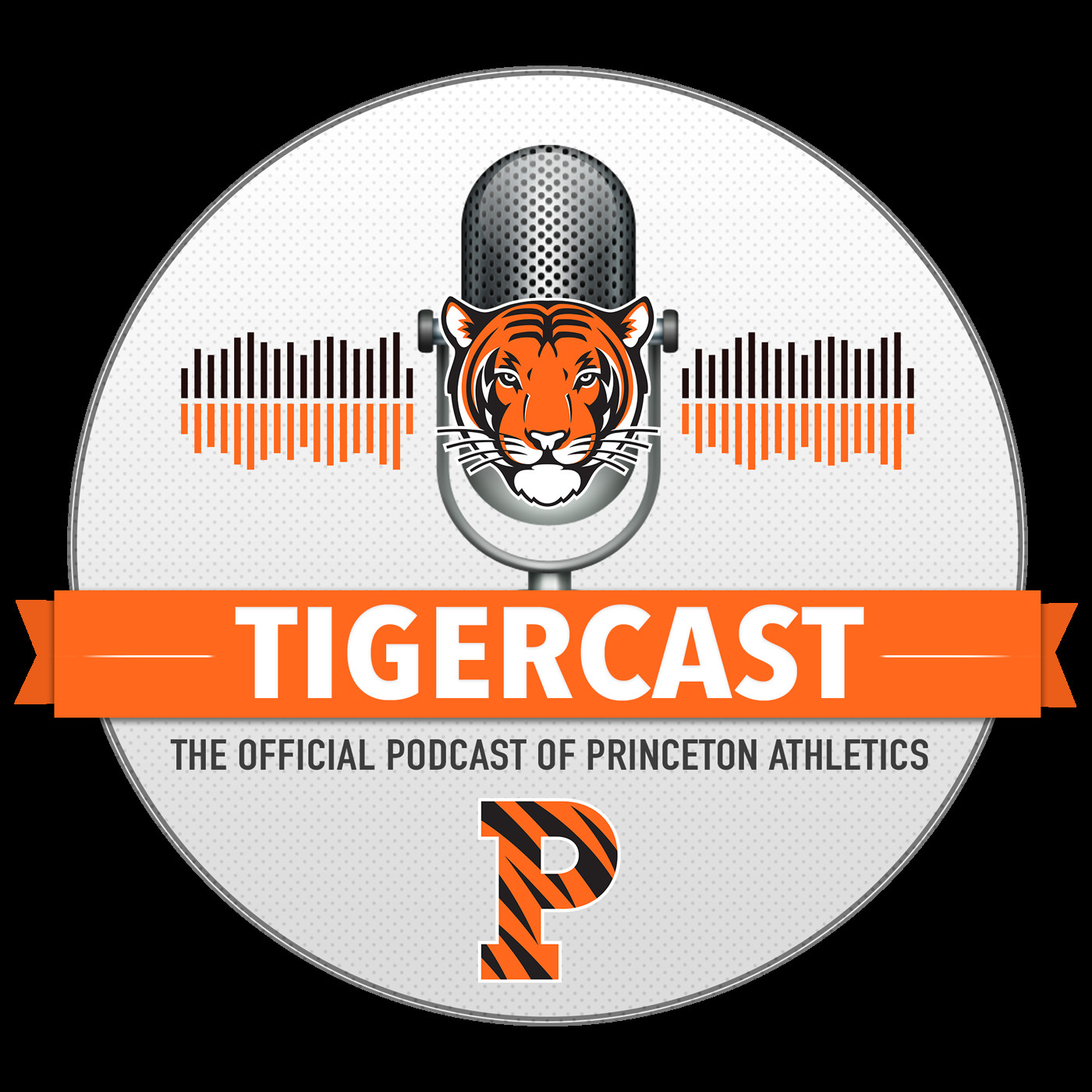 Princeton Tigers
