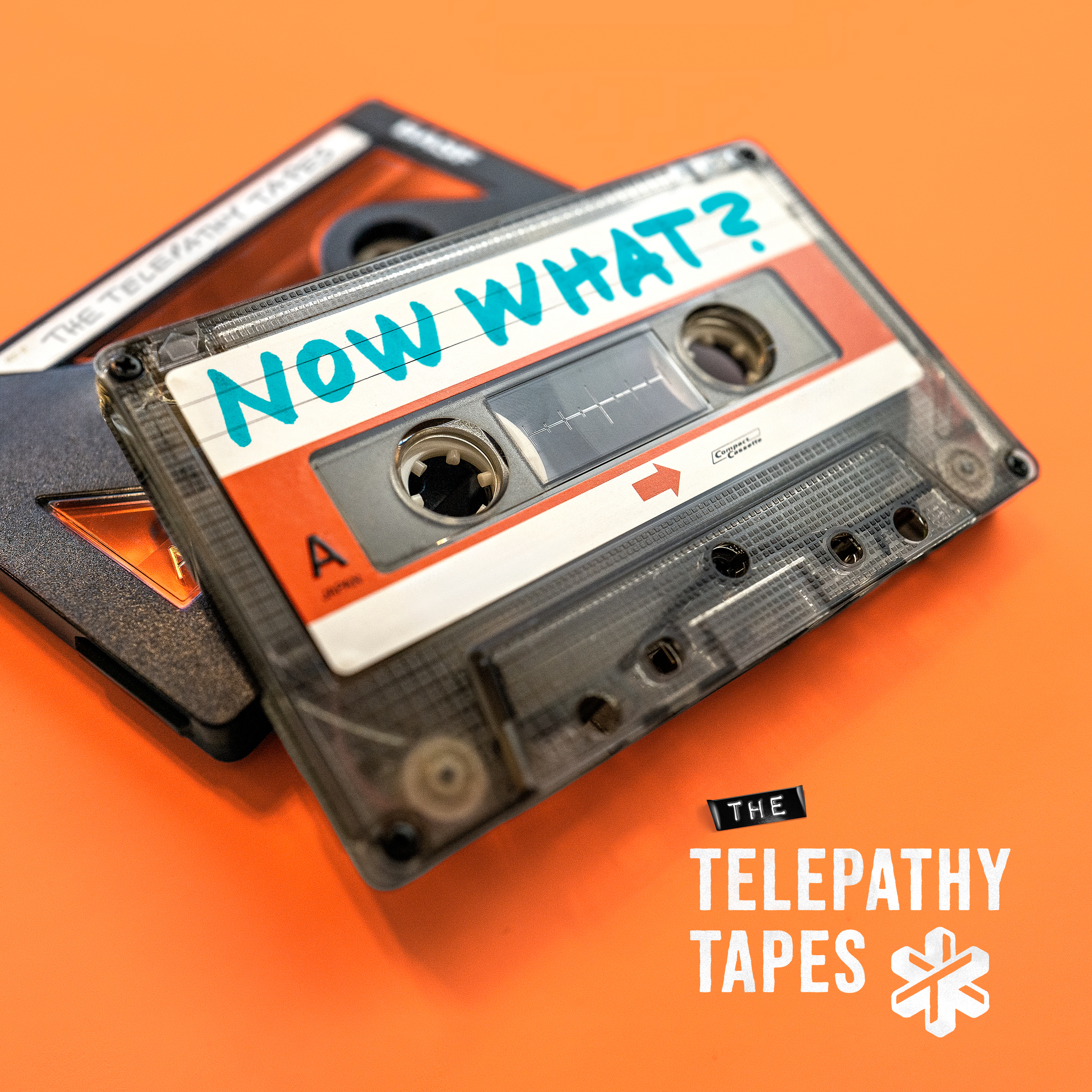 The Telepathy Tapes: Now What?
