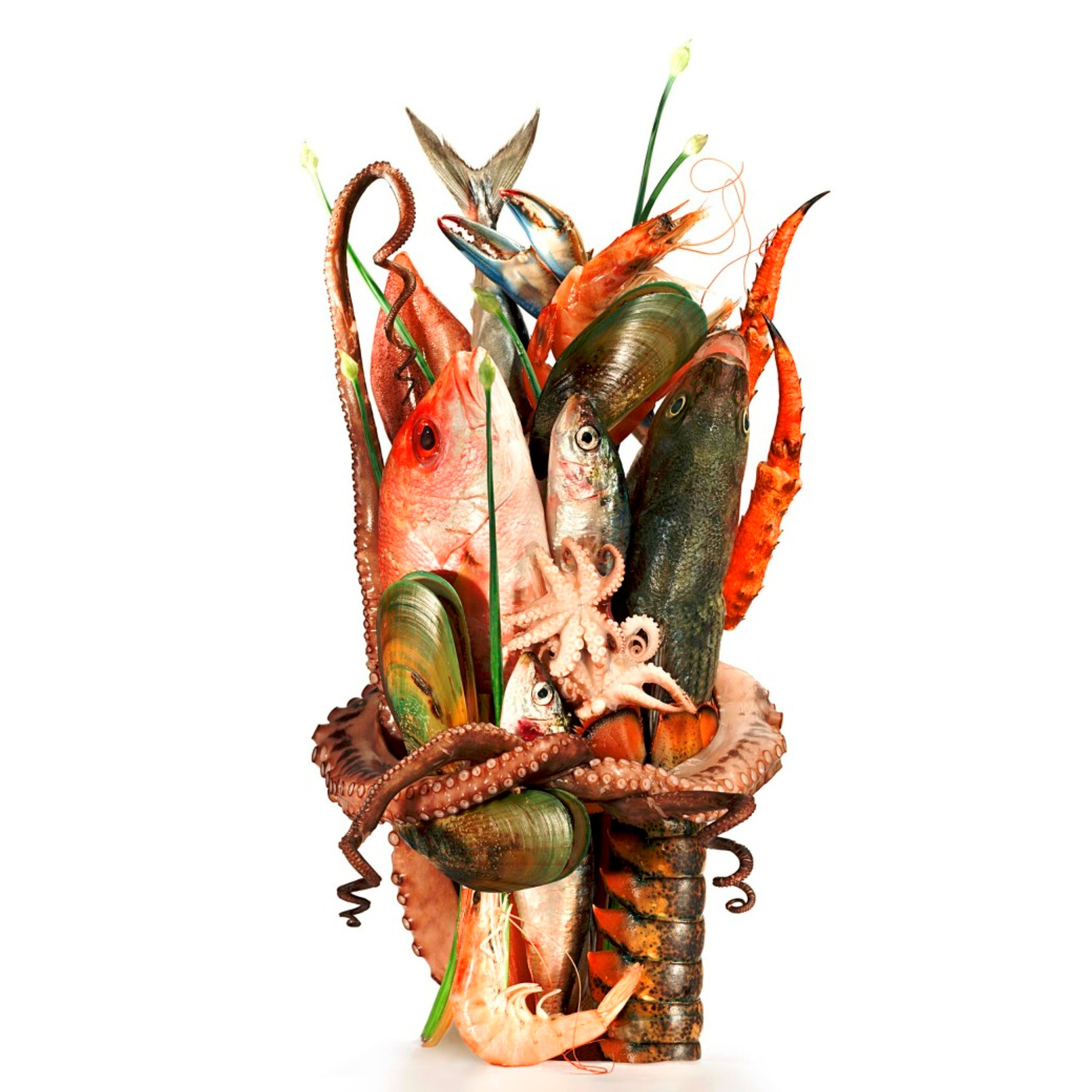 Episode 28: Photography & Food with Peter Pioppo episode artwork
