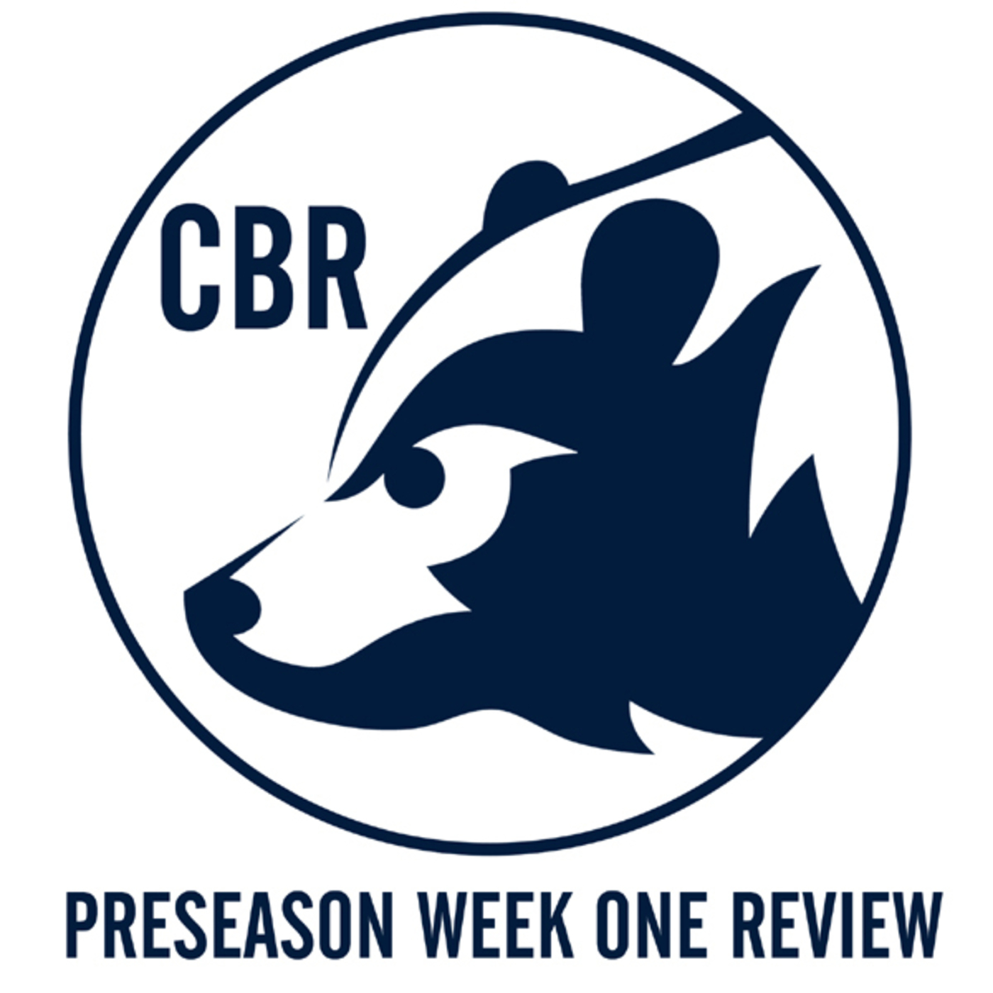Pre-Season Week One Review - Impressive Start for Trubisky episode artwork