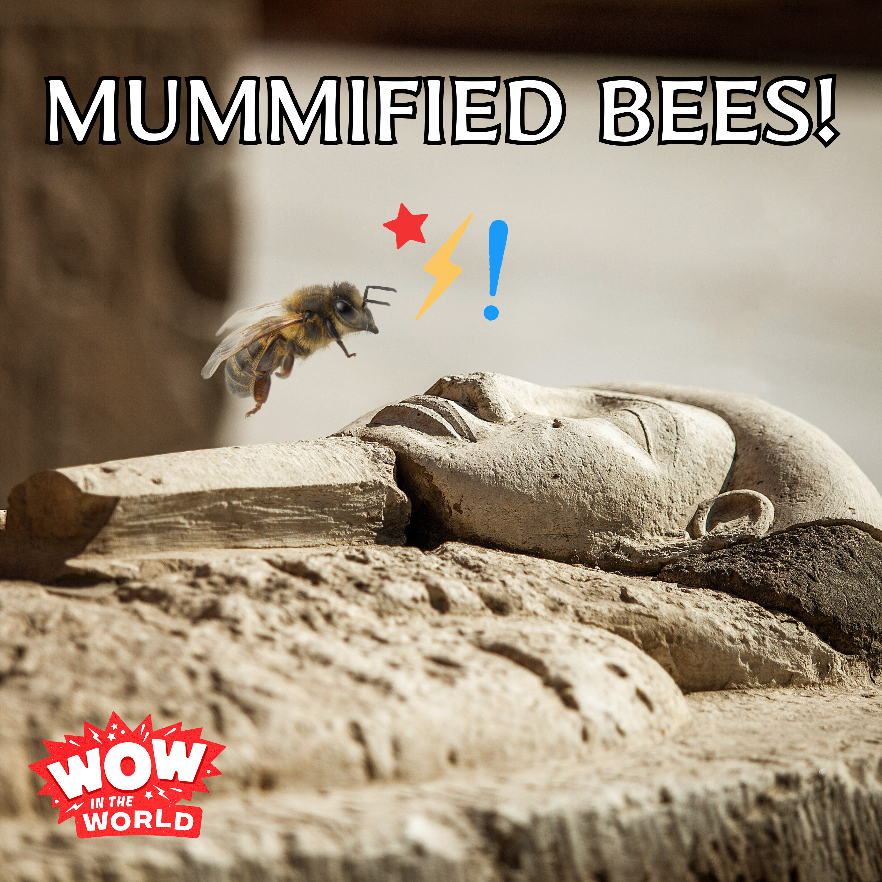 Mummified Bees! (1/15/24)