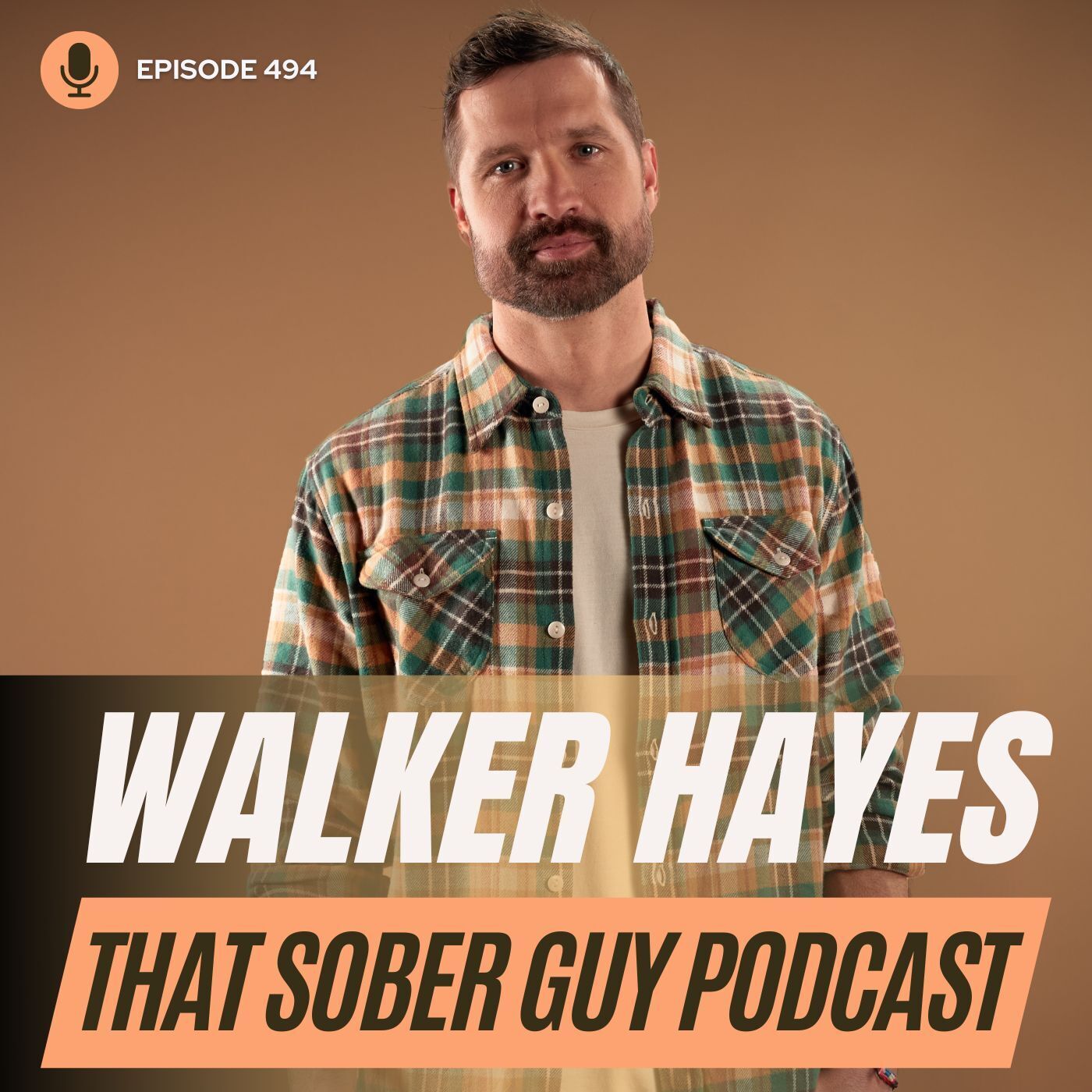 That Sober Guy Podcast