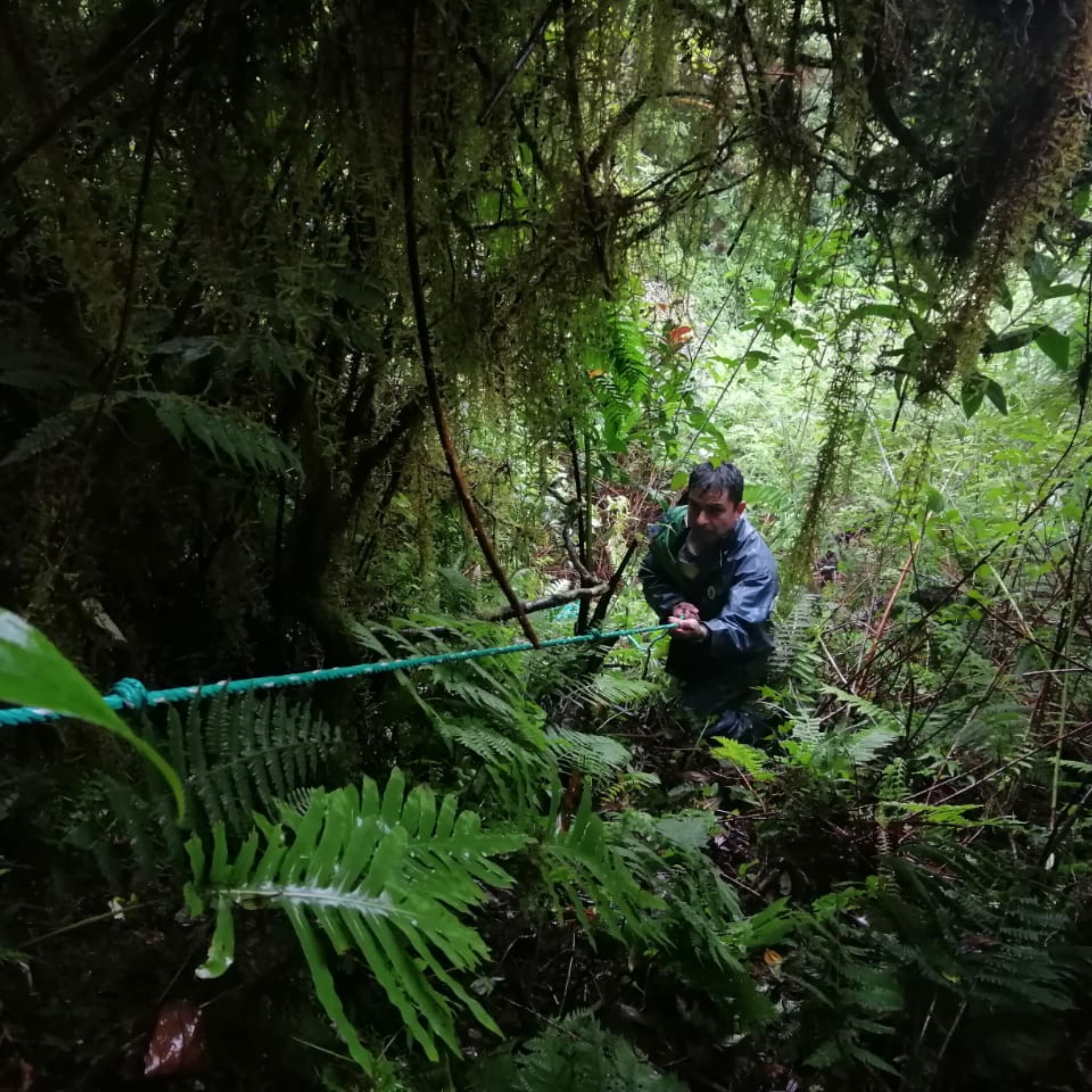 Ep. 586 - Restoring a Galápagos Forest