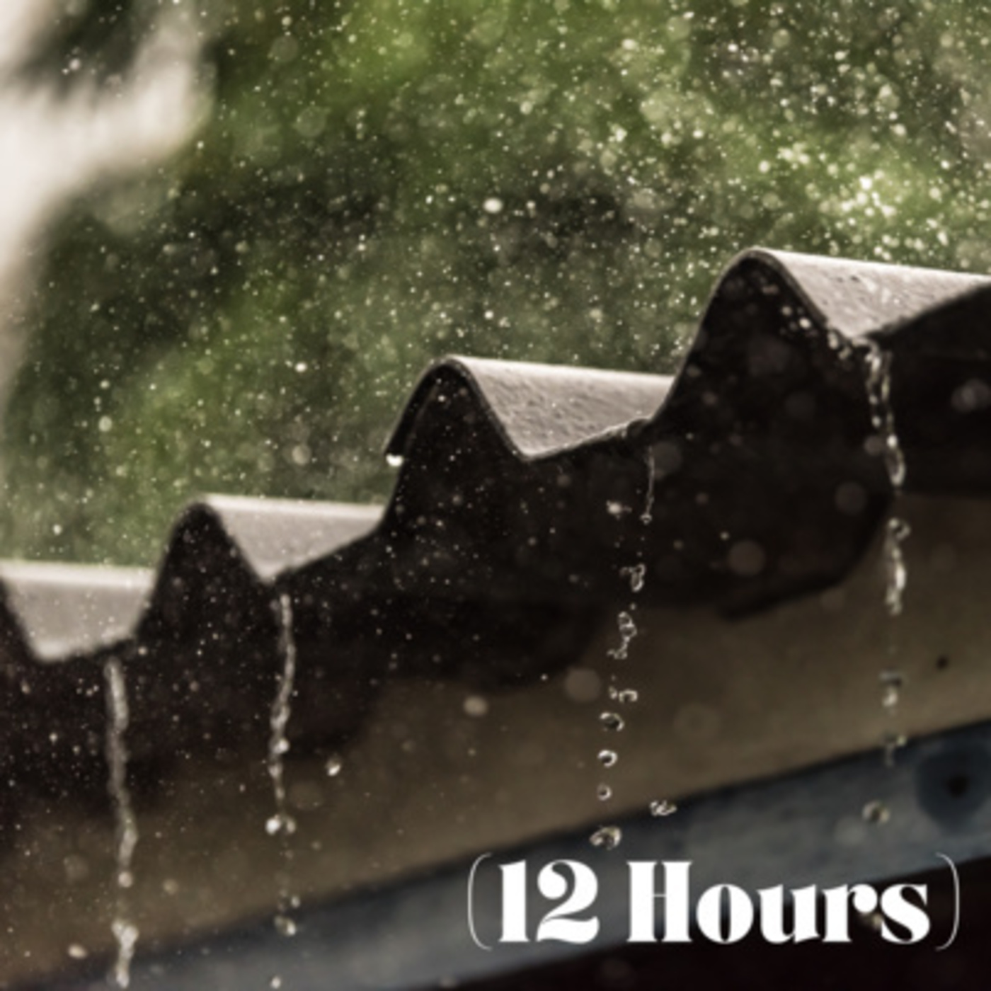 Heavy Raindrops on Metal Tin Roof | Sleep Sound (12 Hours)