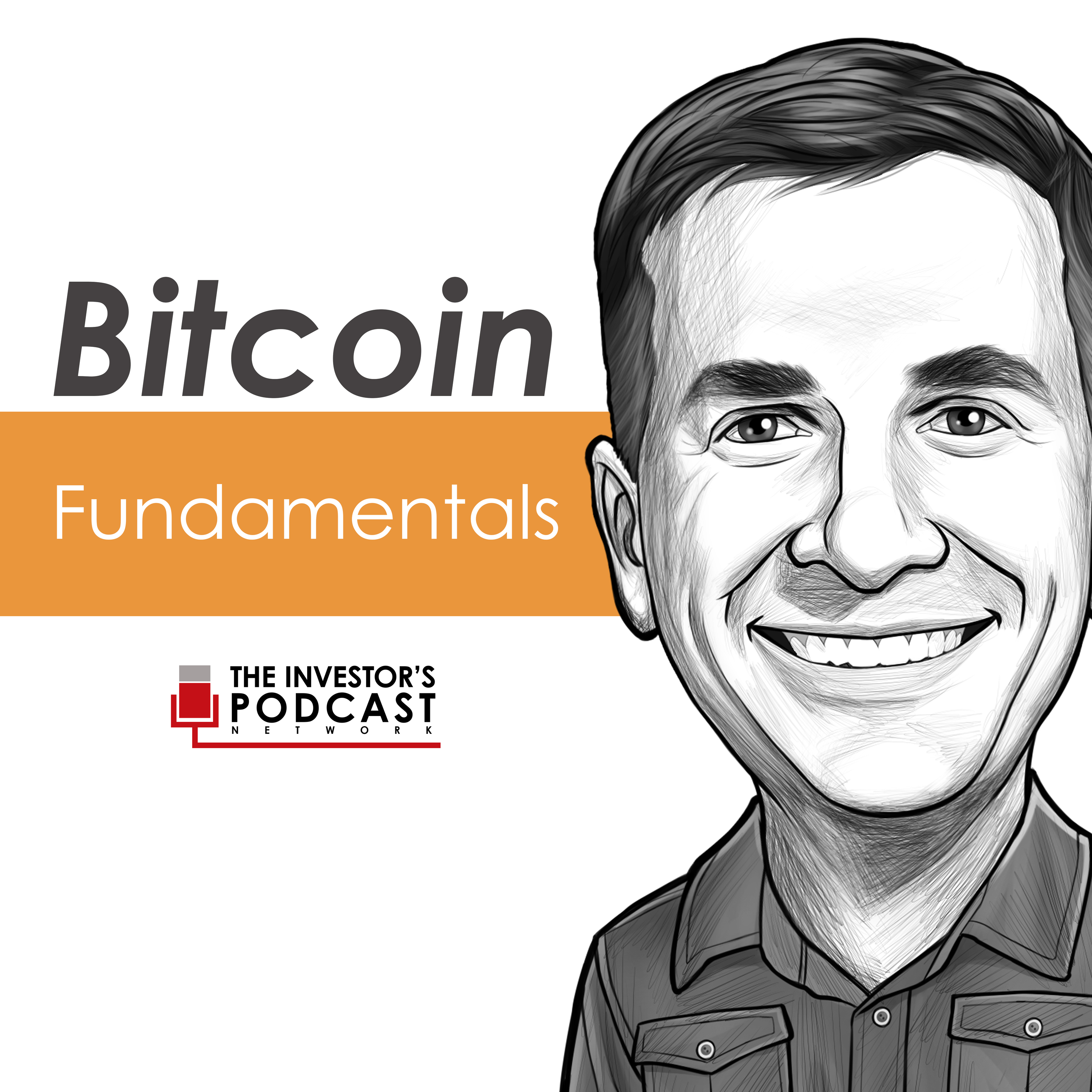 BTC042: Supply Chain Impacts & Bitcoin Discussion w/ Lyn Alden (Bitcoin Podcast) Image