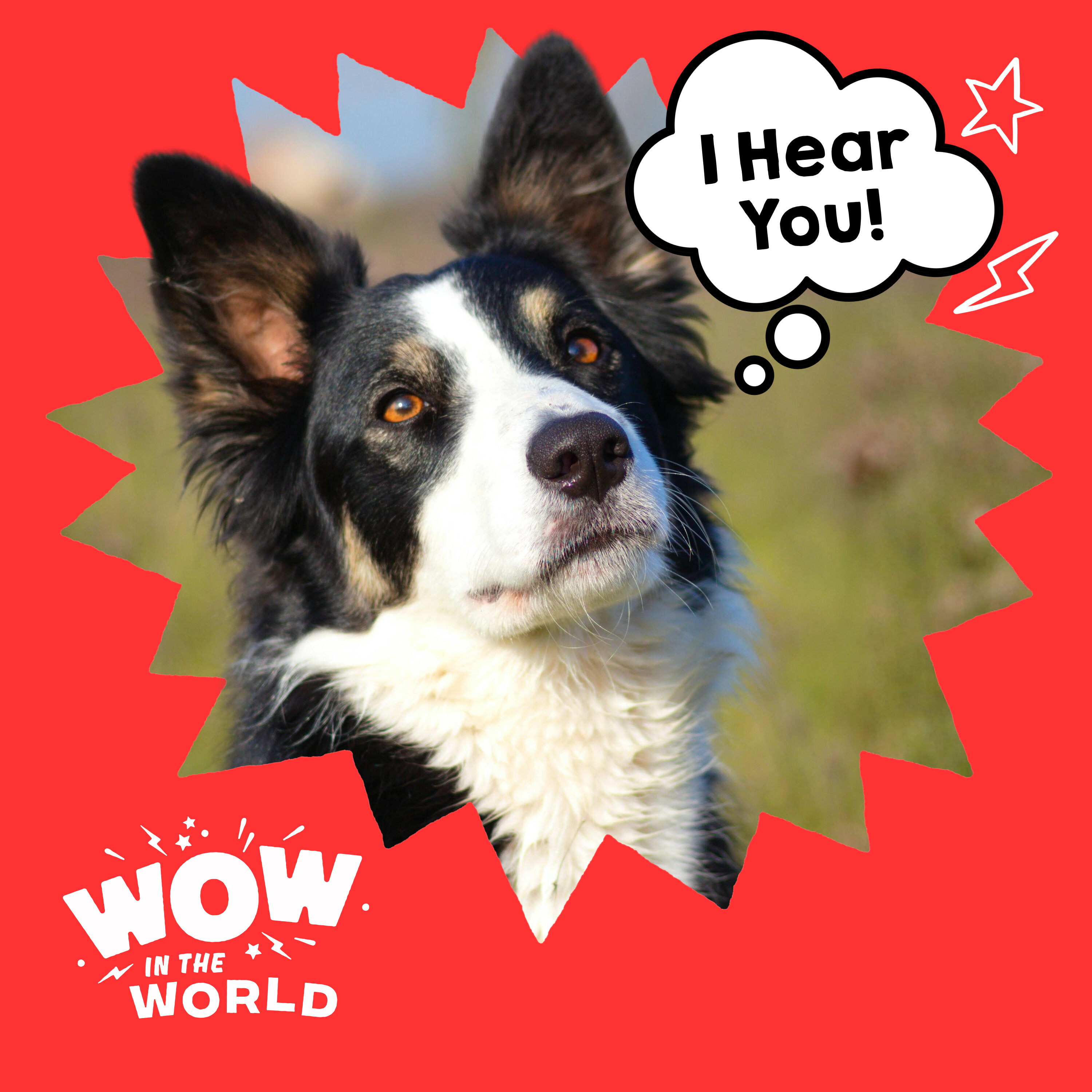 Speak, Fetch, Repeat: How Dogs Learn Words by Overhearing Humans