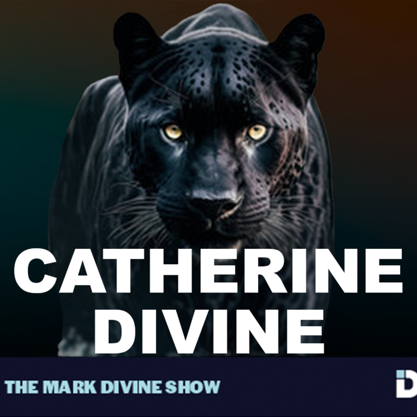 The Mark Divine Show