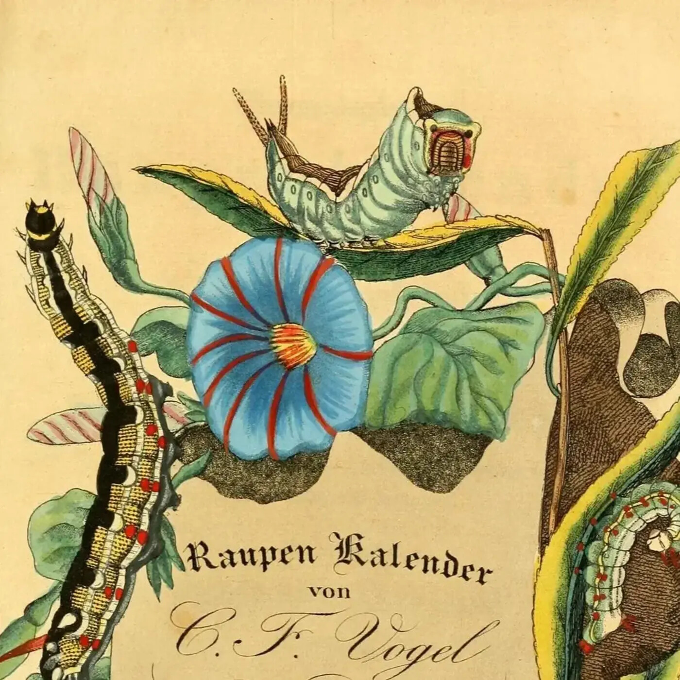 Ep. 410 - Phenology is Important