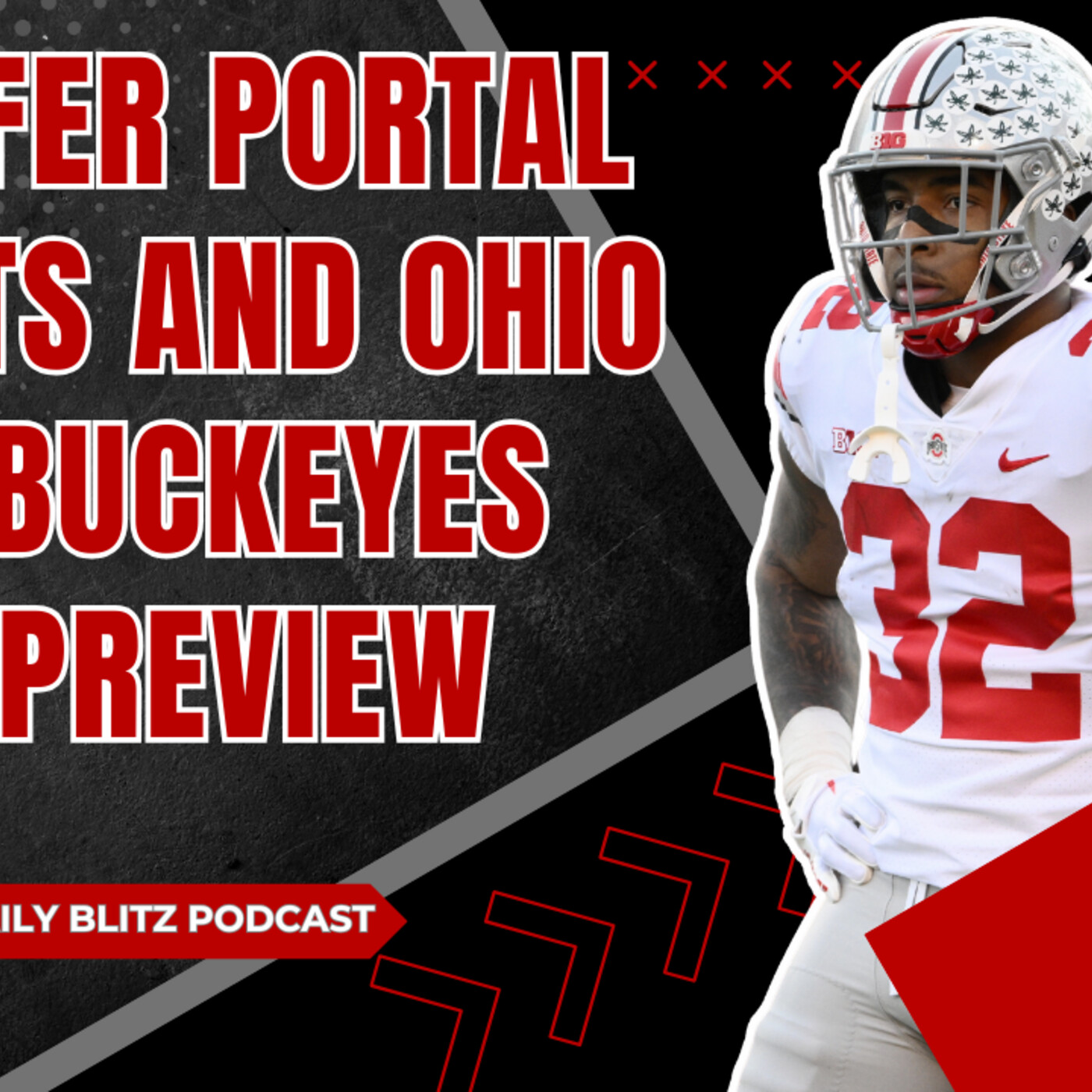 Ohio State Buckeyes NFL Draft Preview | Transfer Portal Targets