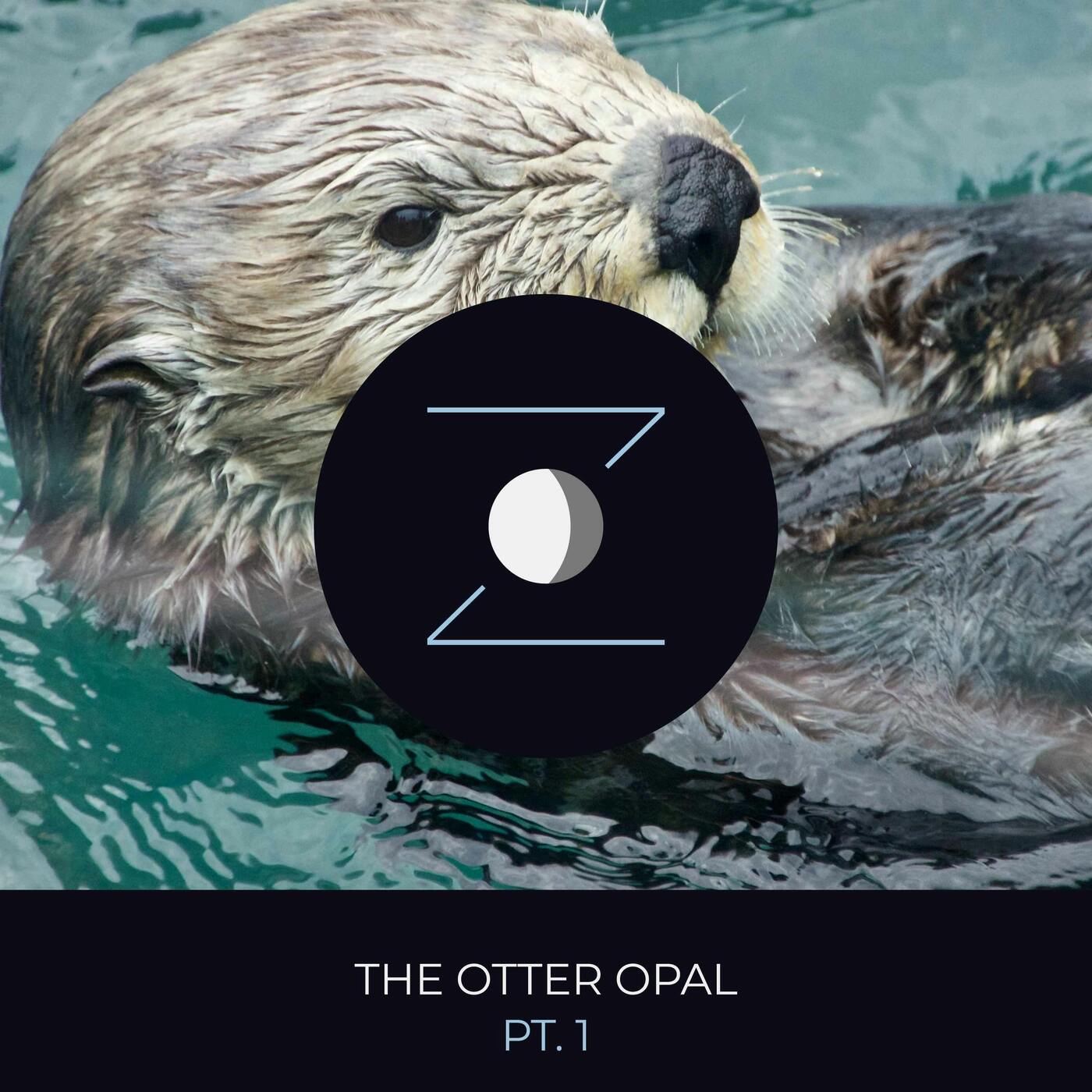 The Otter Opal pt. 1 episode artwork