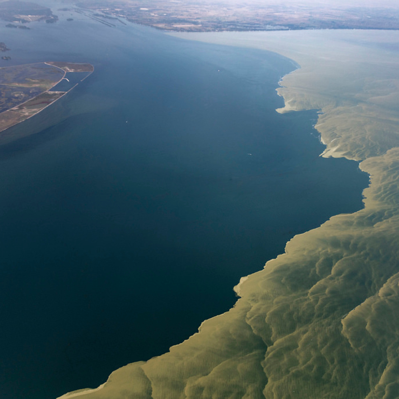 Episode 118: The Dead Zone: Runoff in our Waterways