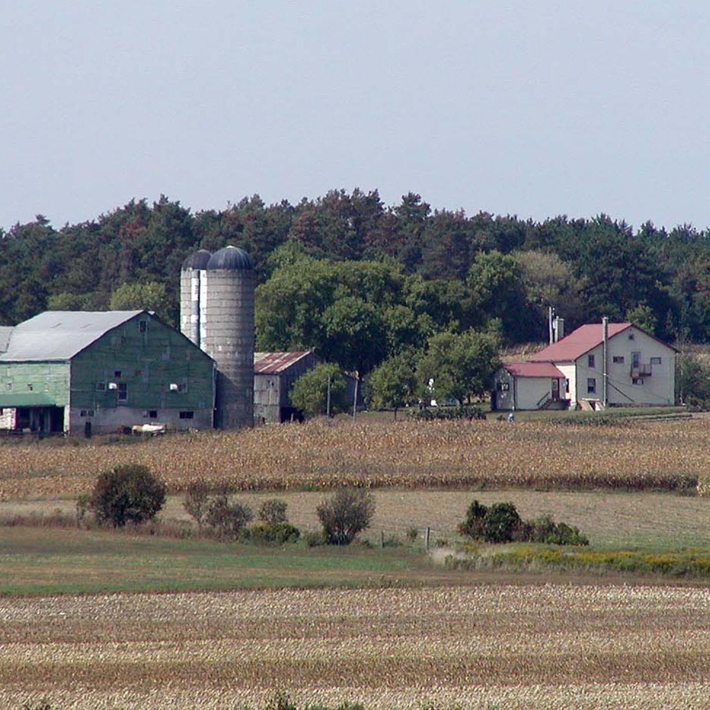 Episode 218: Agricultural Justice and the New Food Economy